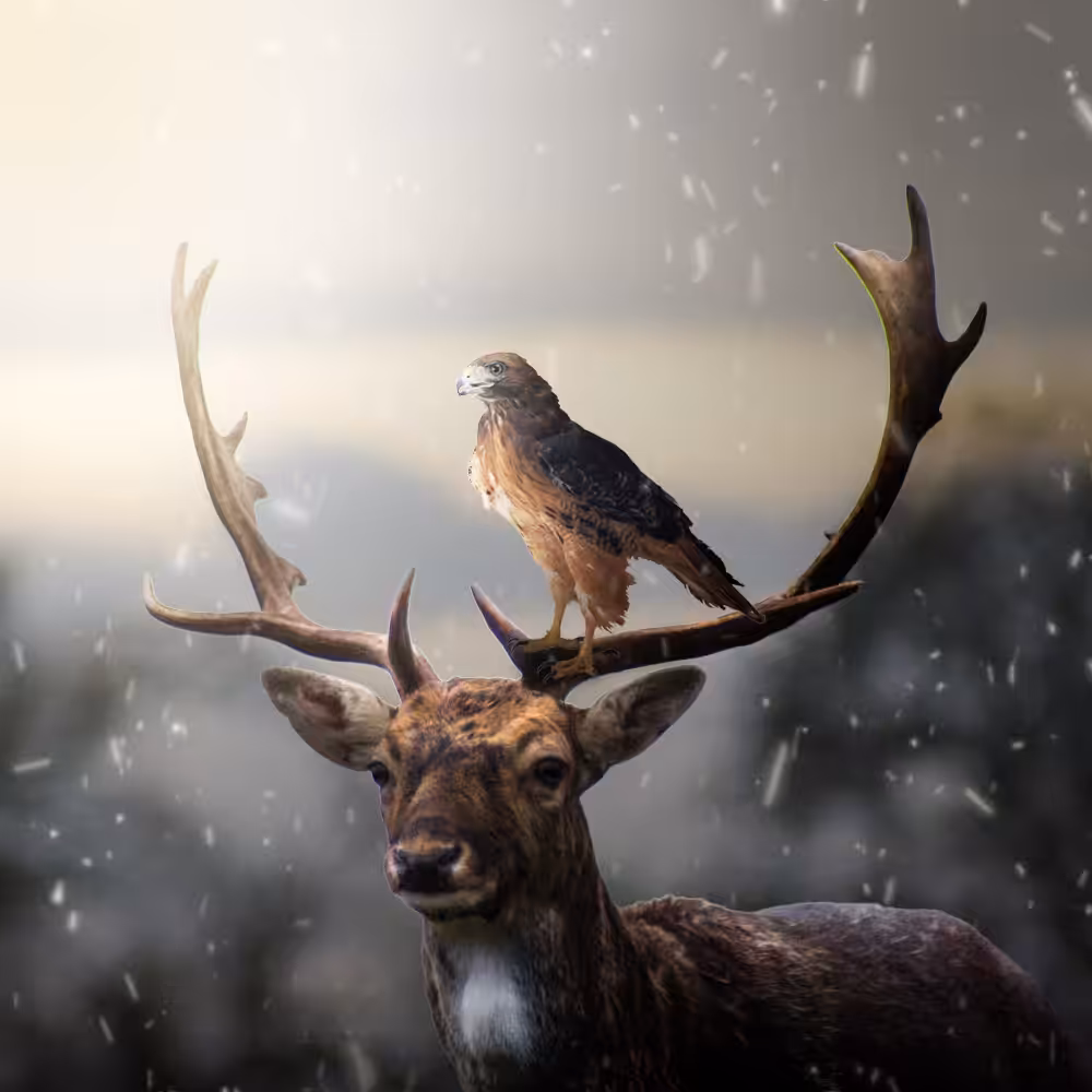 Fantasy Manipulation #0001
