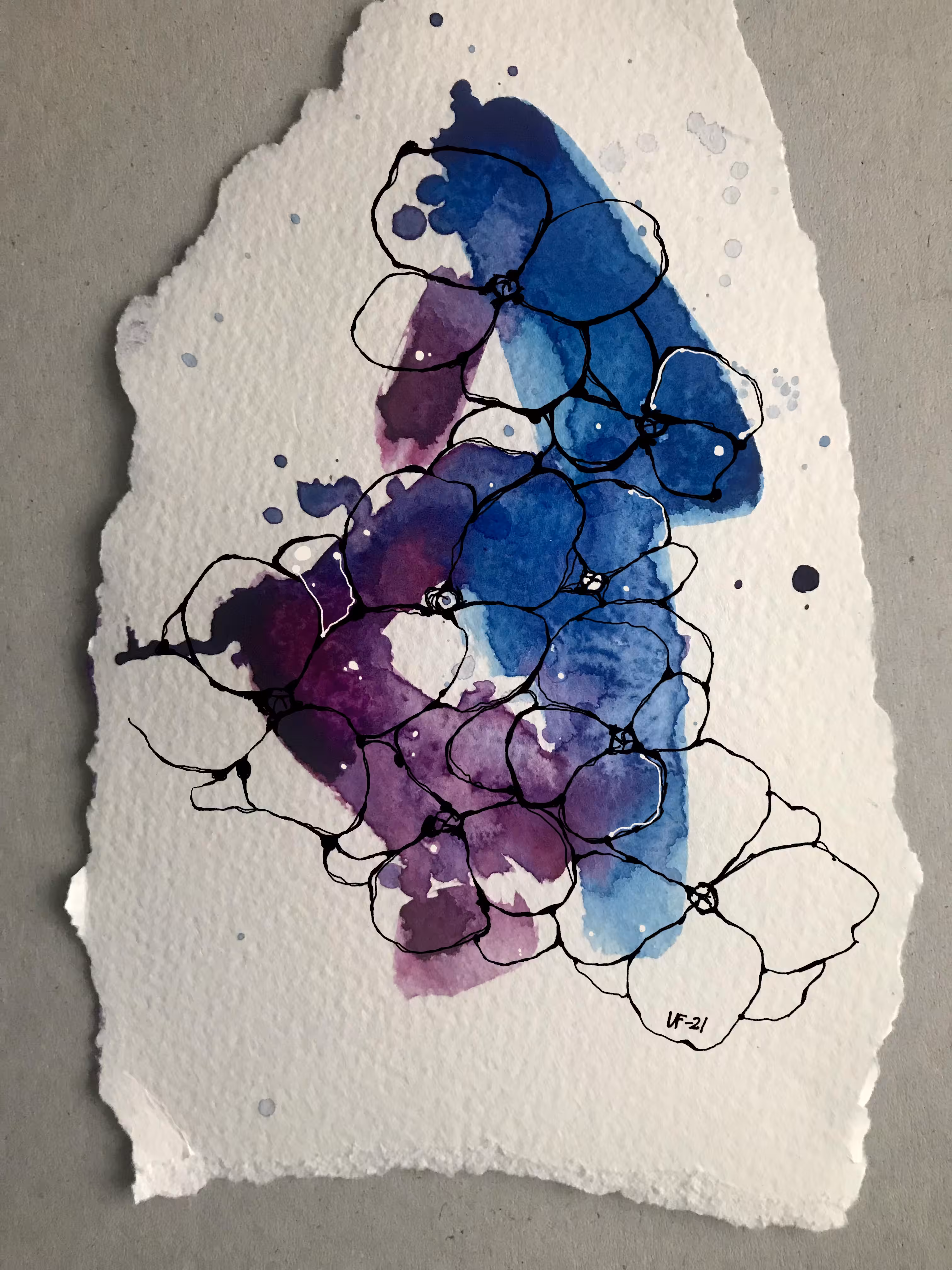 Finding Flowers II