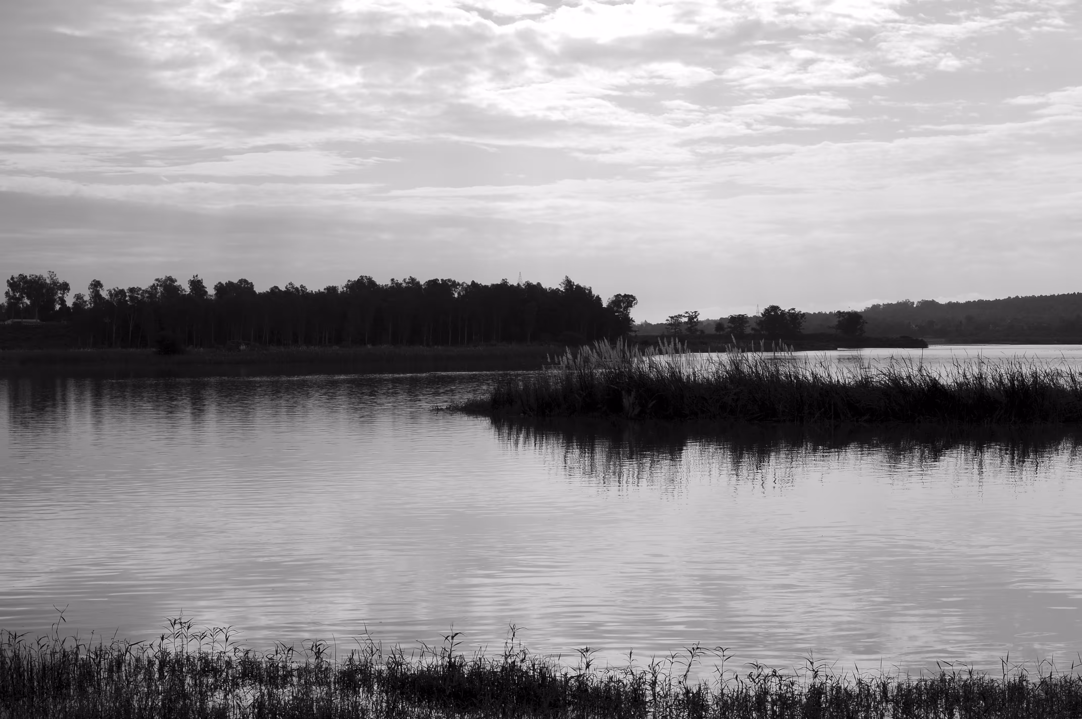 Bliss of nature #2