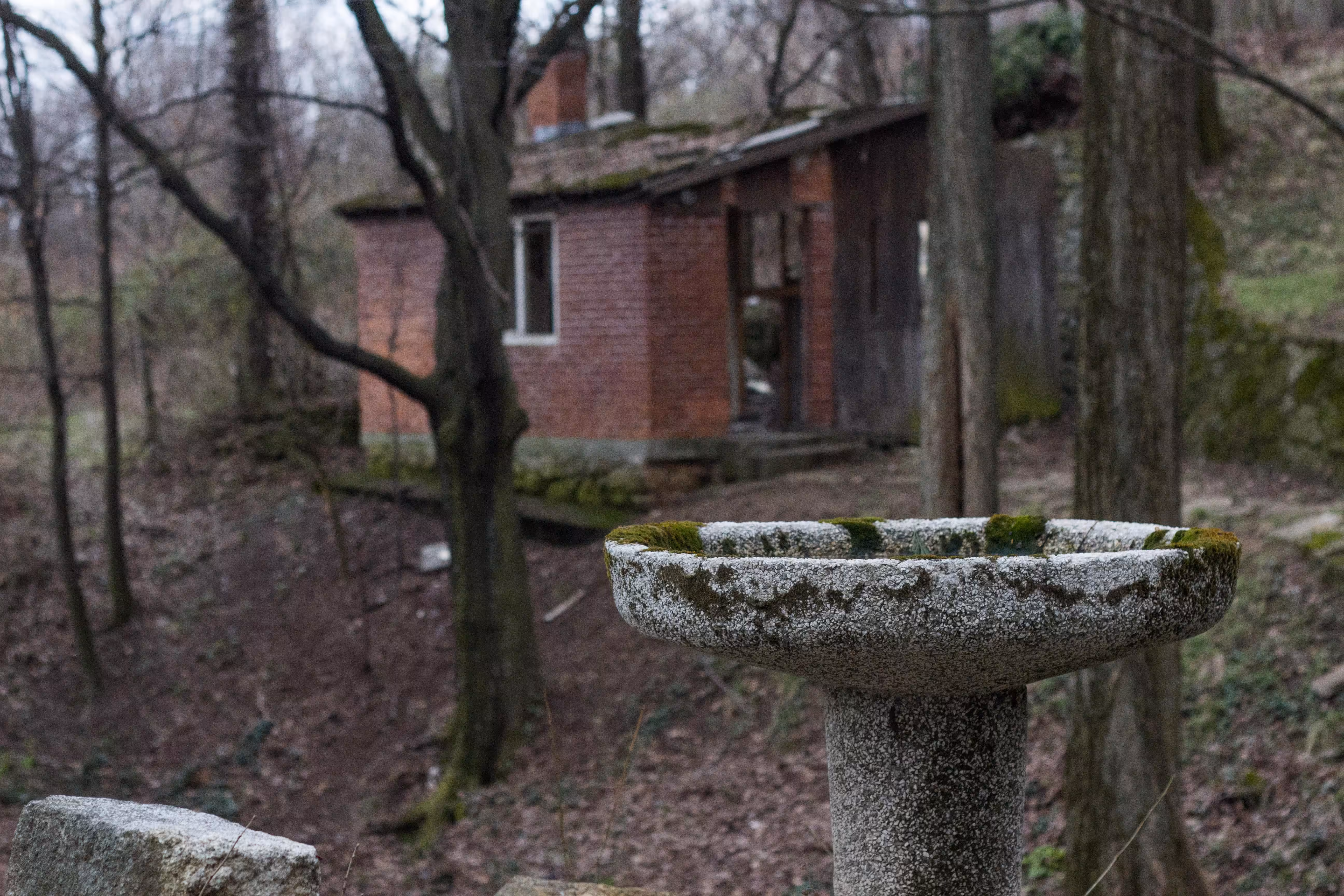 bird bath