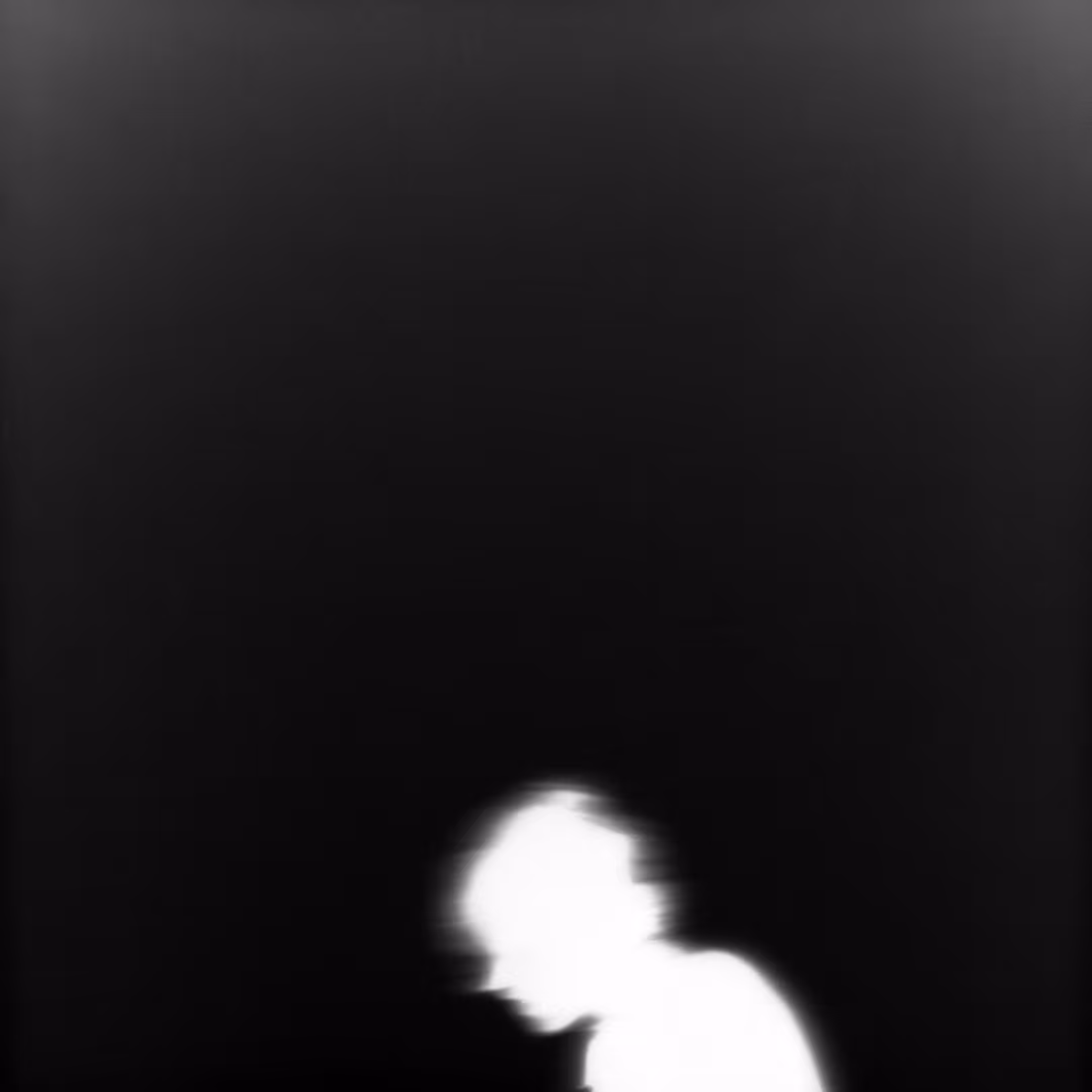 Antonymic Stillness