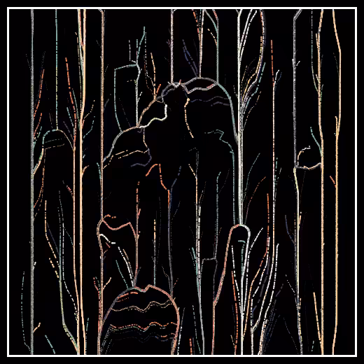 Observers' decline #17