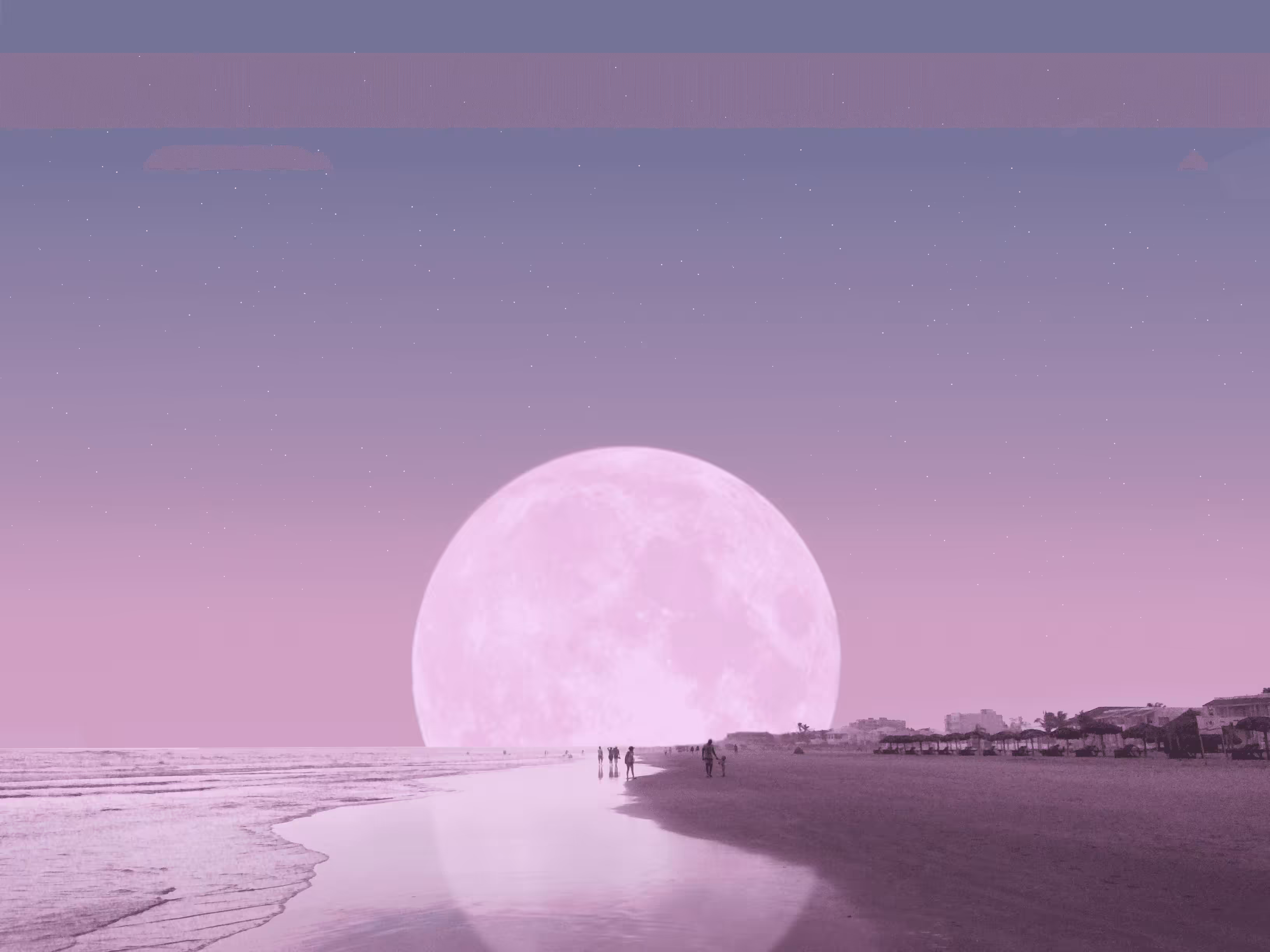 Pink & Purple World #114