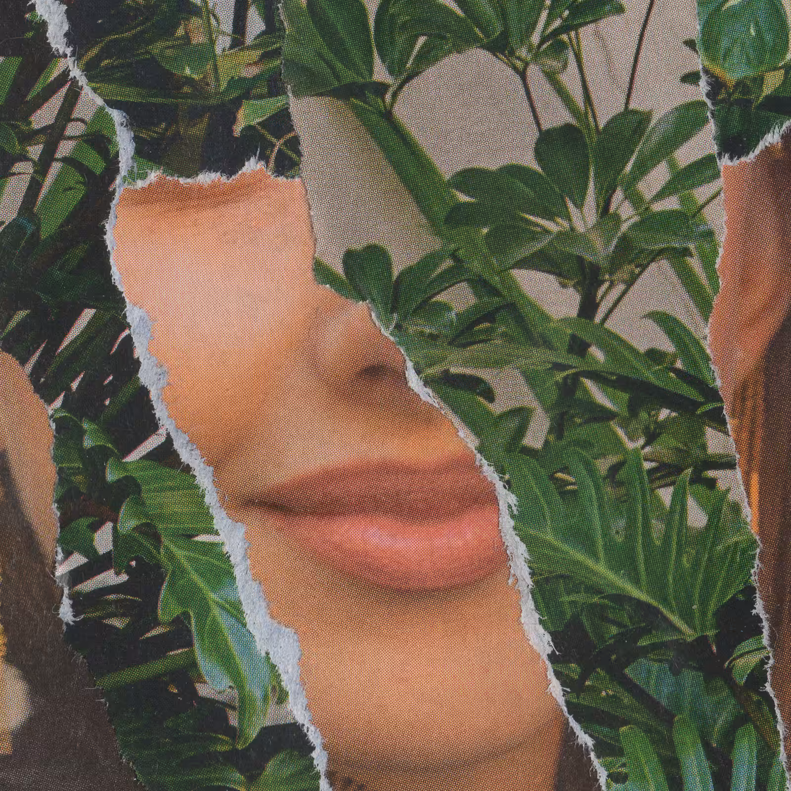 1mouth analog #212
