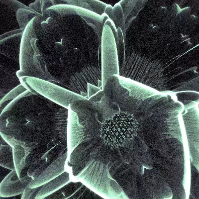 Electron Microscopy #60