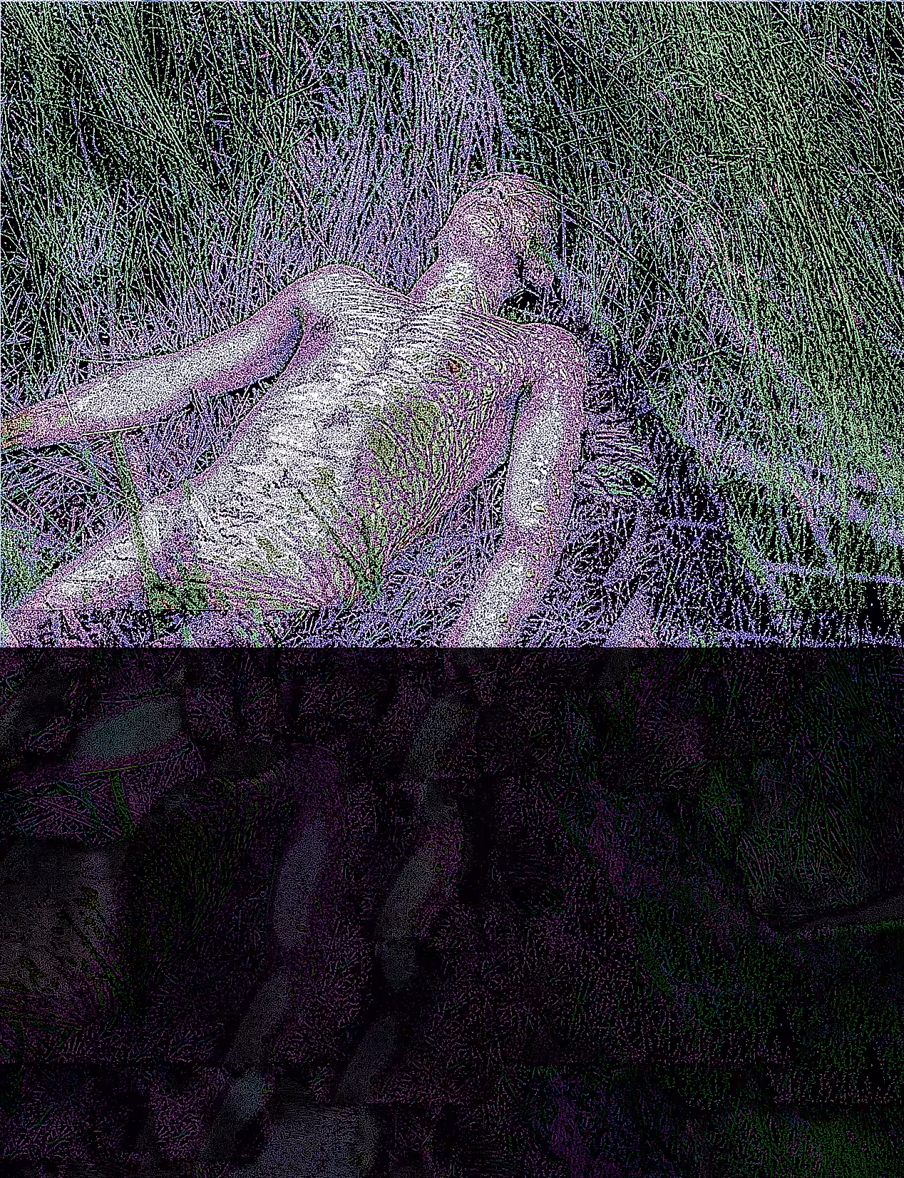 warrior has fallen; dormeur du val 