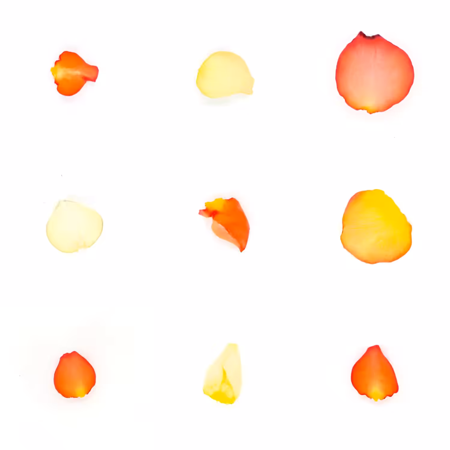Infinite Petals 3x3#3113