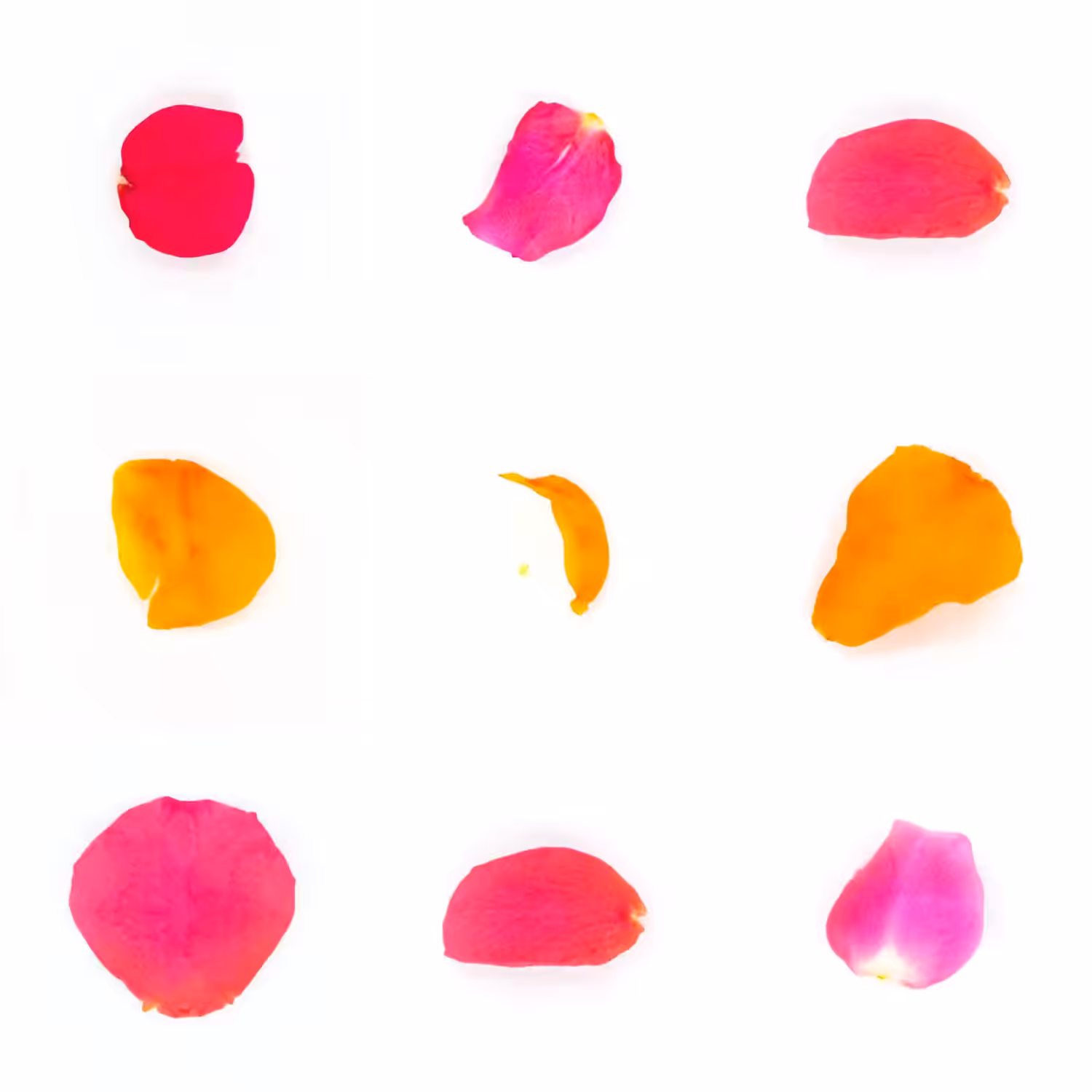 Infinite Petals 3x3#3426
