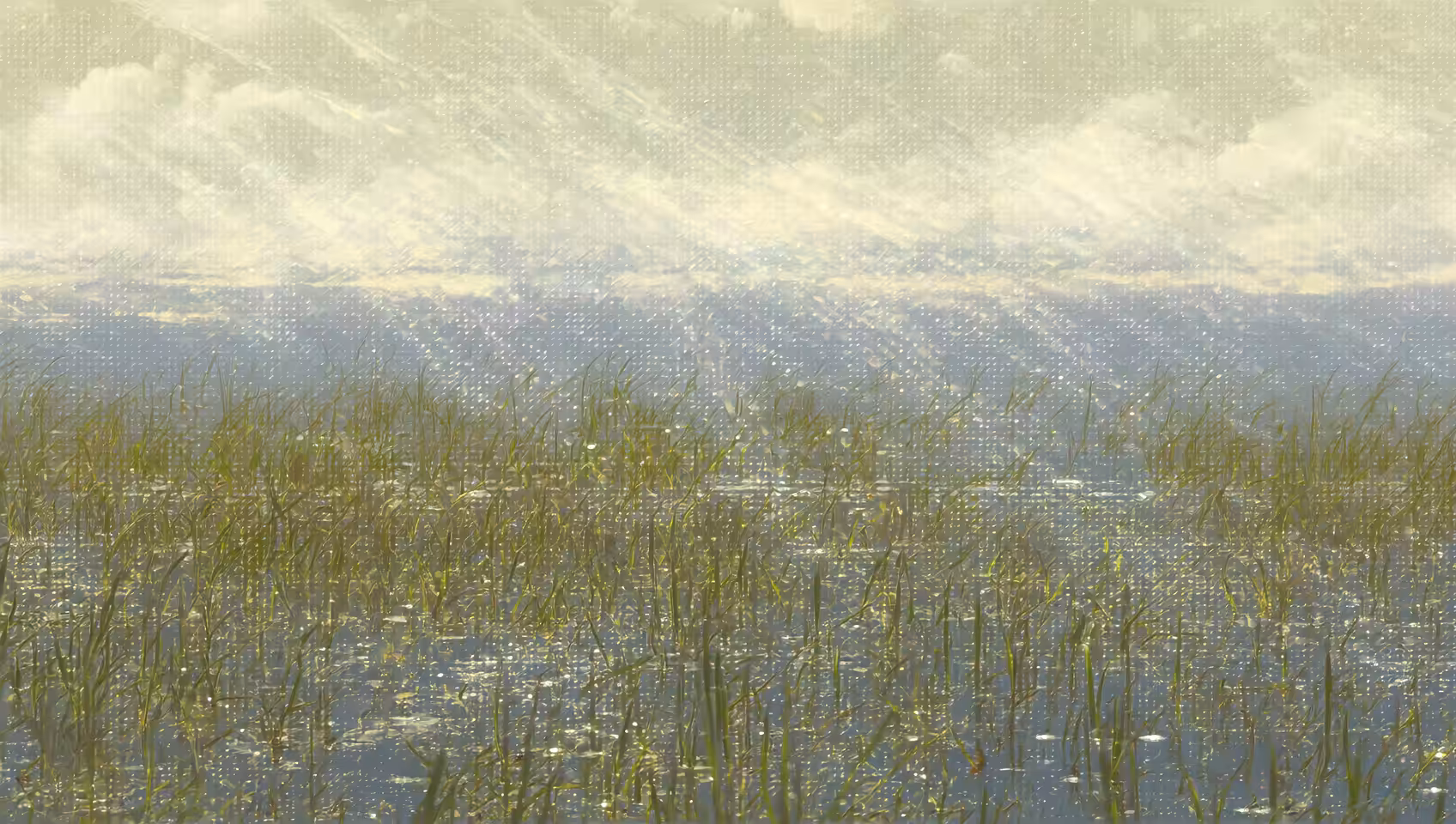Spring impressionism (4)