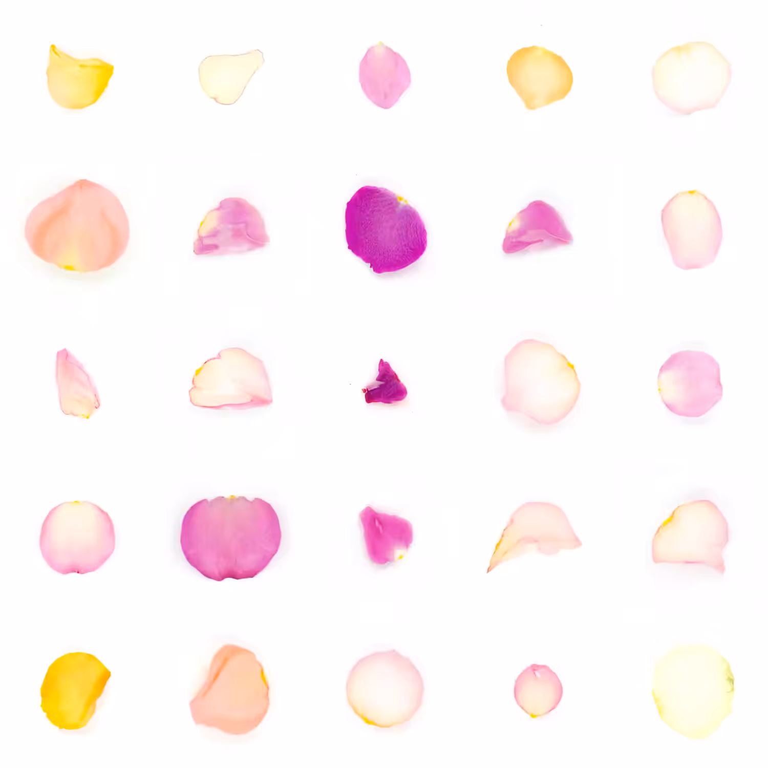 Infinite Petals 5x5#1016
