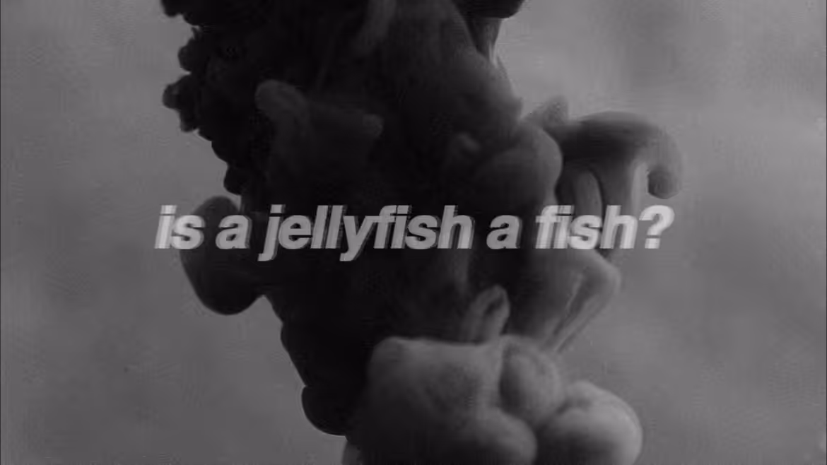 IS A JELLYFISH A FISH? #2