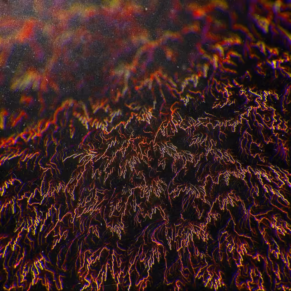 DIGI  LEAFS