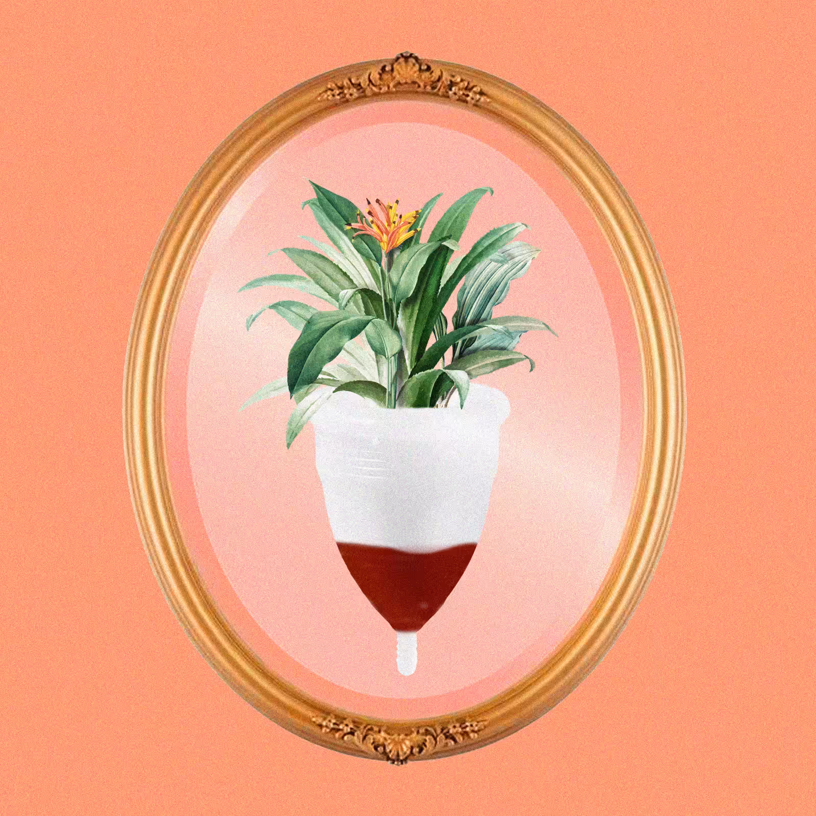 Soft Vintage Cup