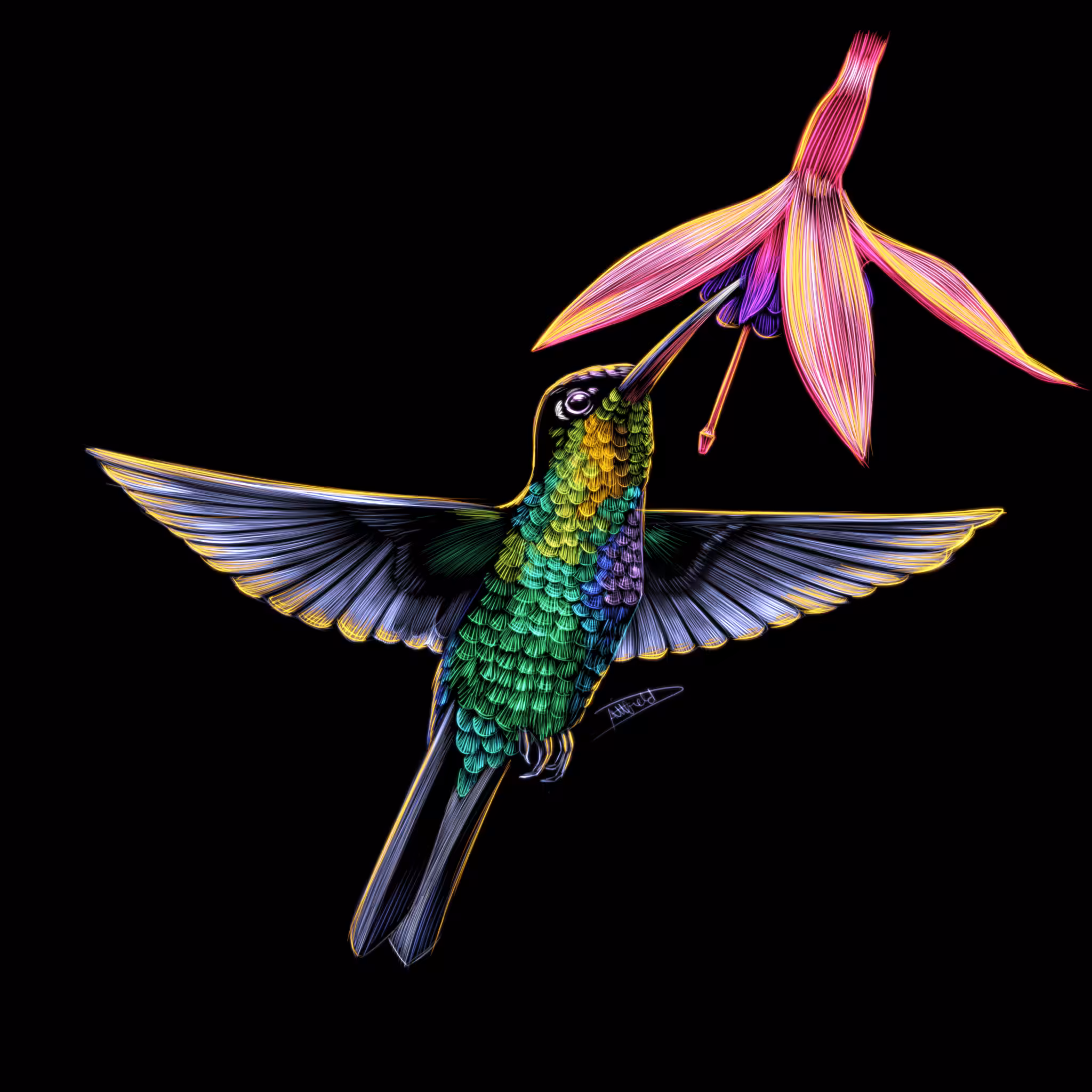 Hummingbird