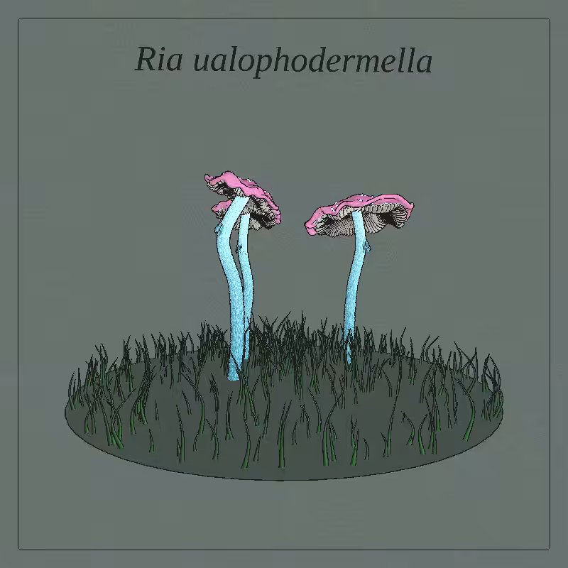 SHROOMS 3D #64