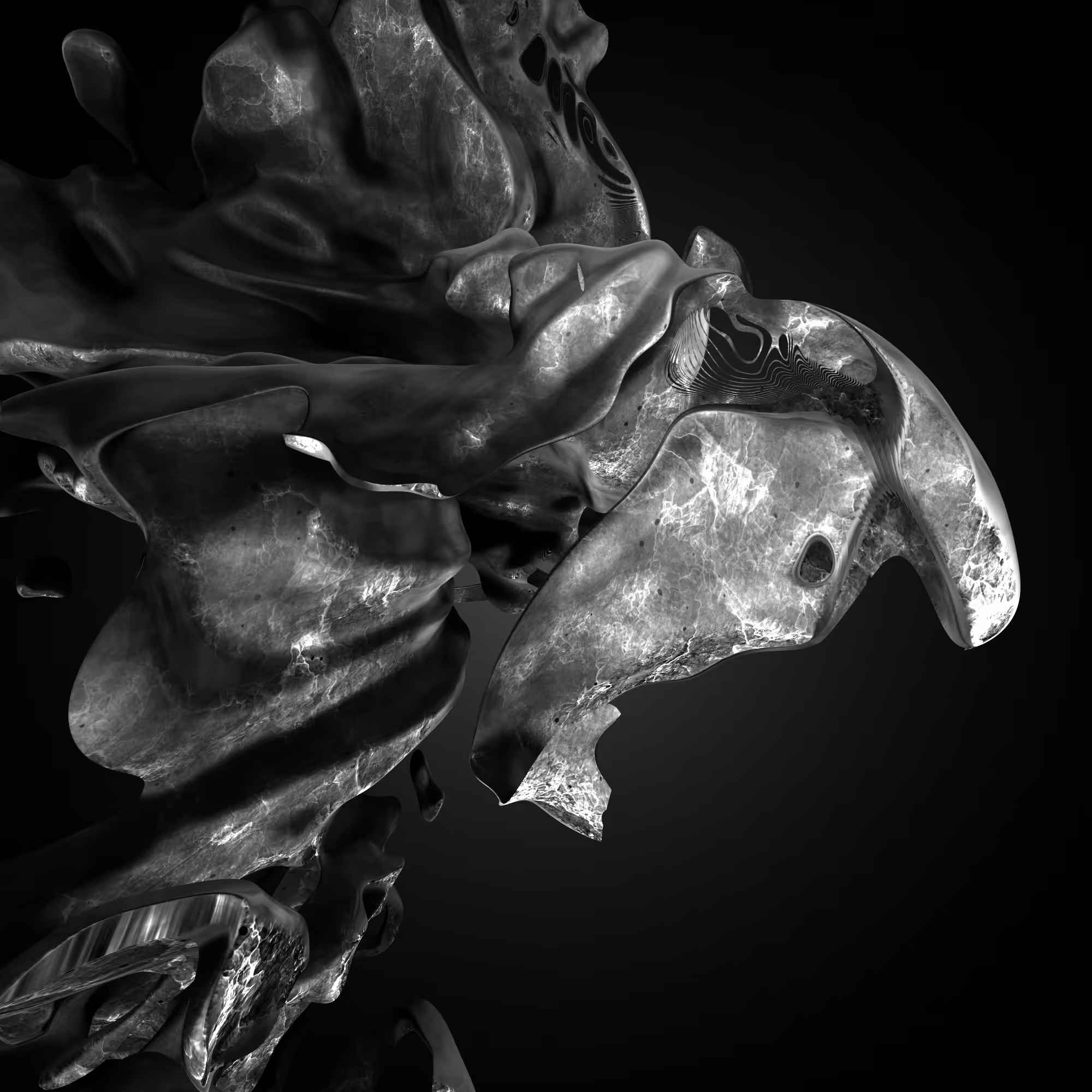 N_RAYSSCULPT