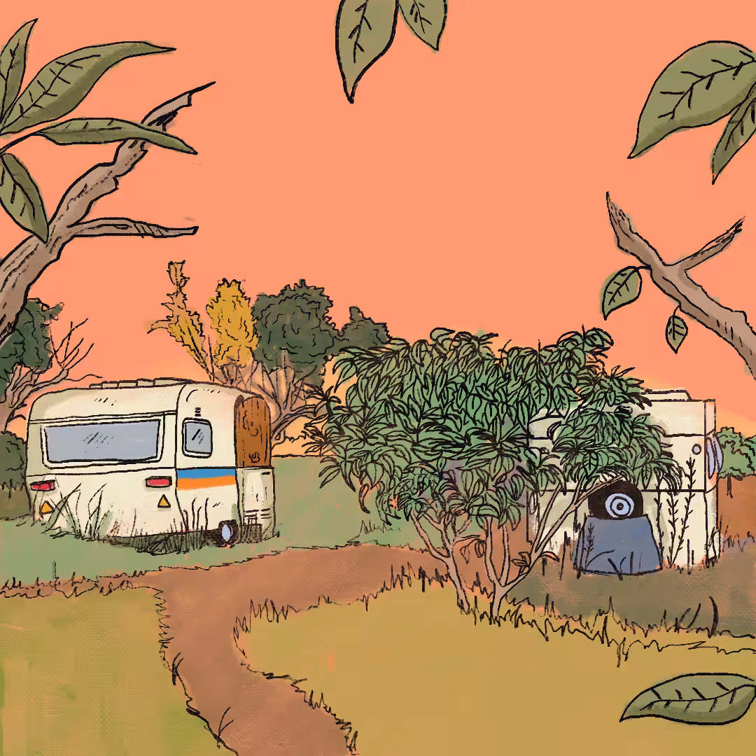 a view