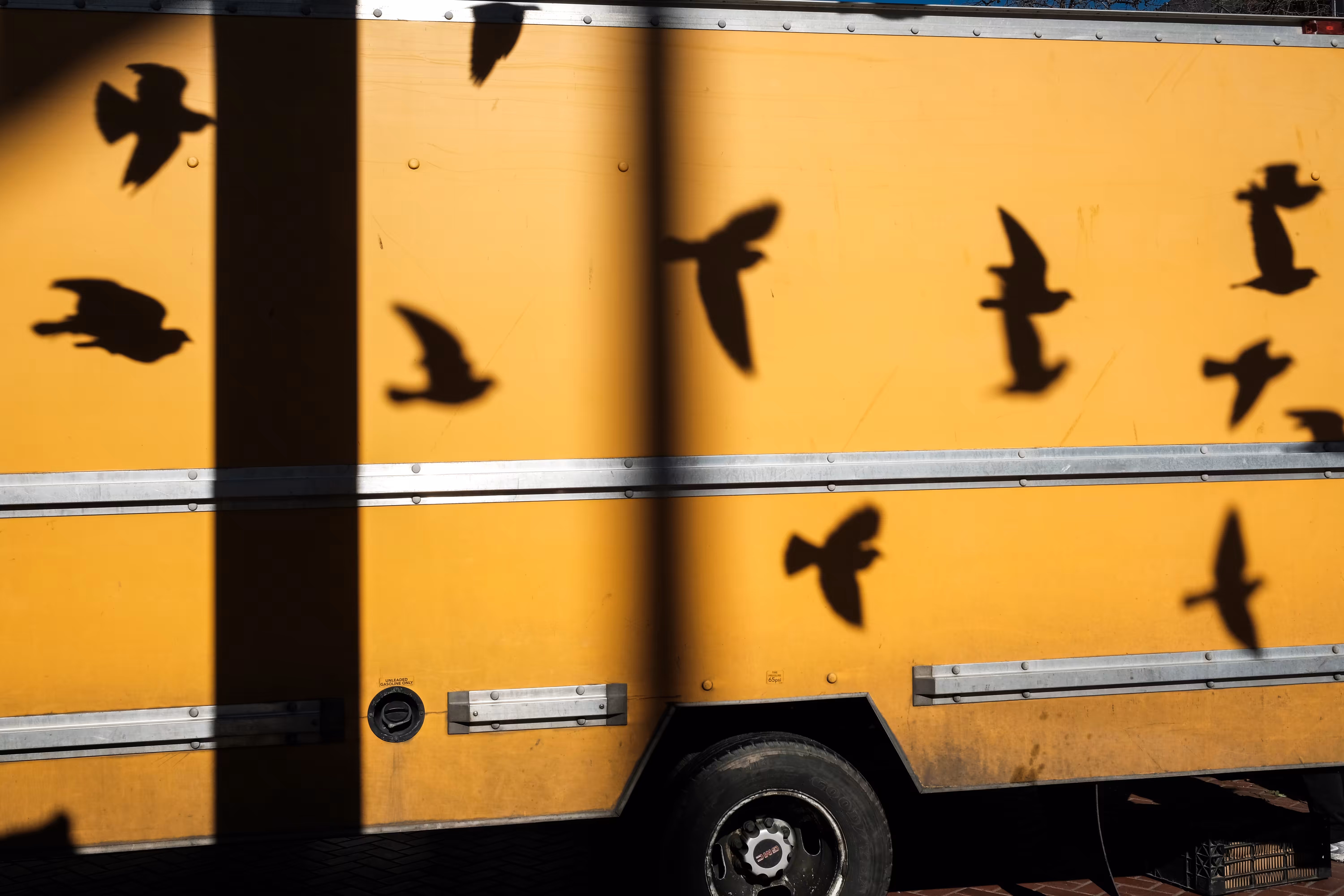 Flight Pattern
