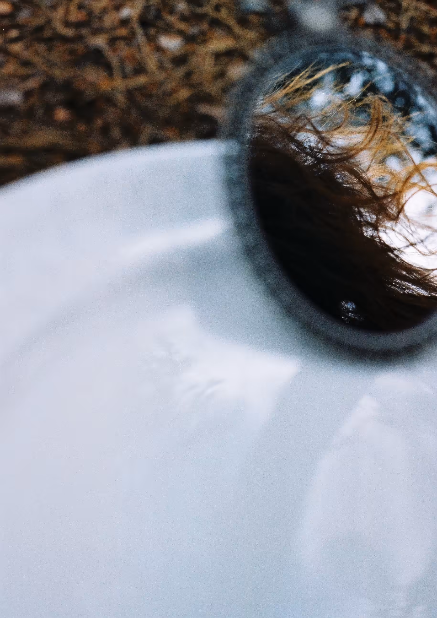 Plate. Mirror. Hair.