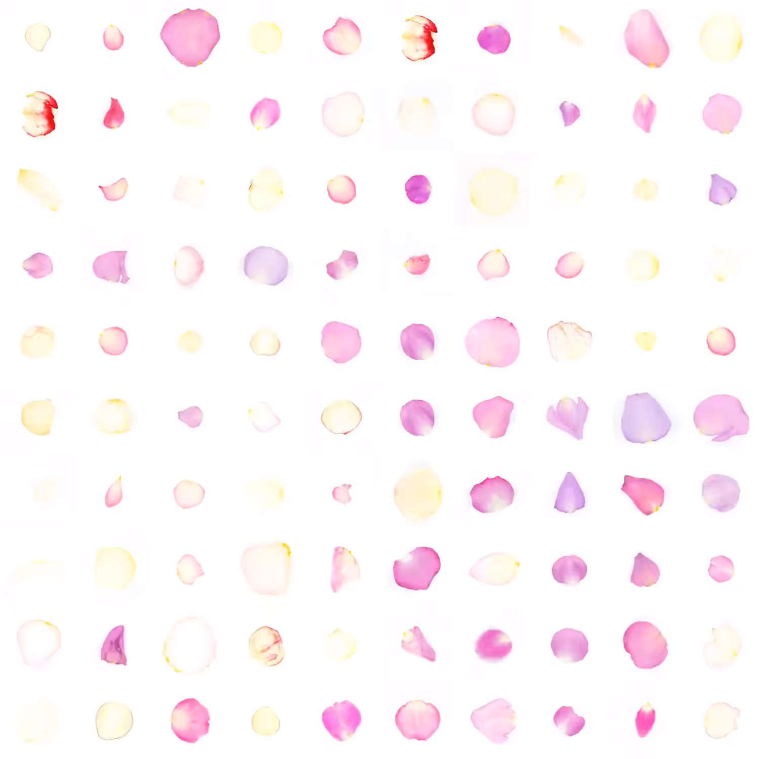 Infinite Petals 10x10#10014