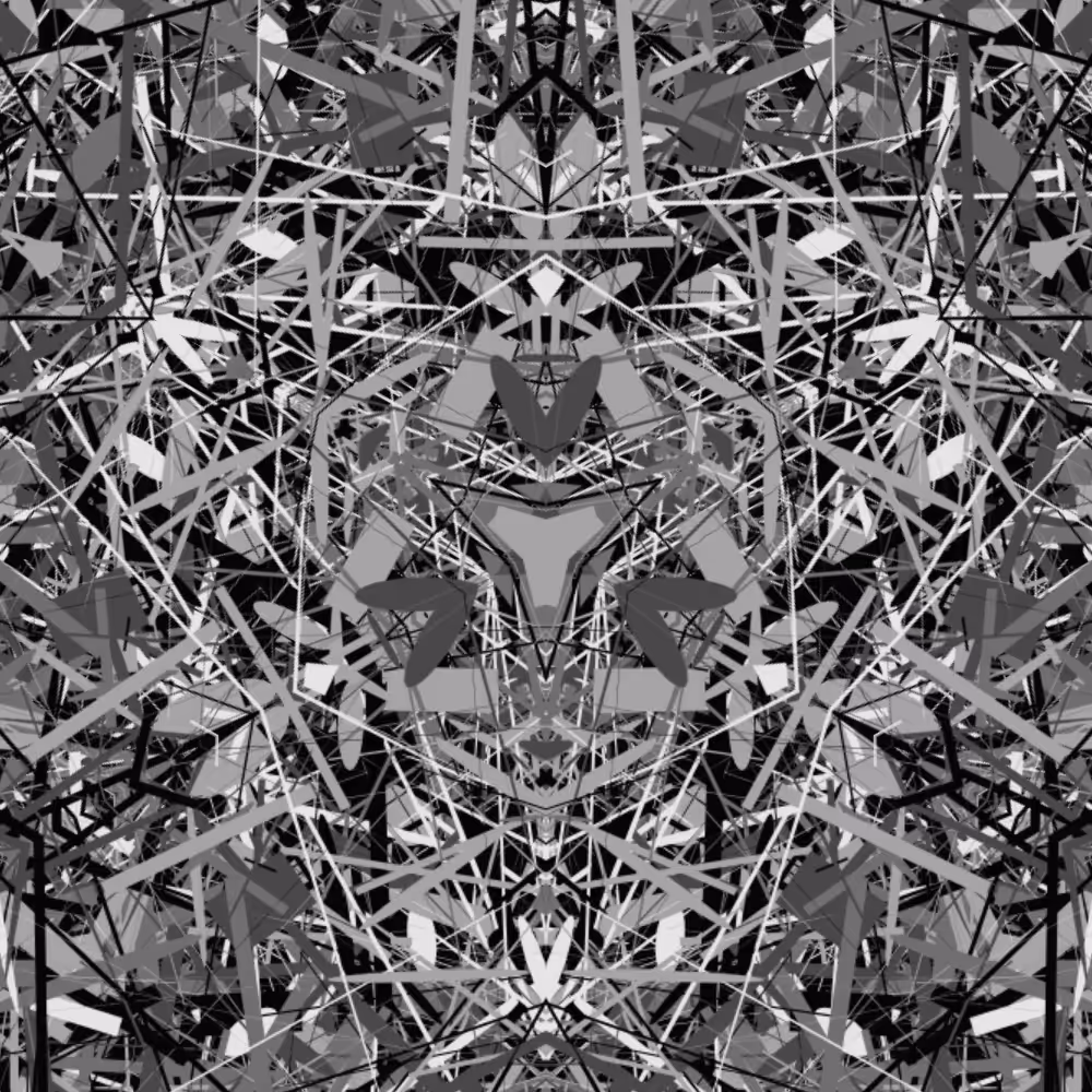 BW 3 mirror #14