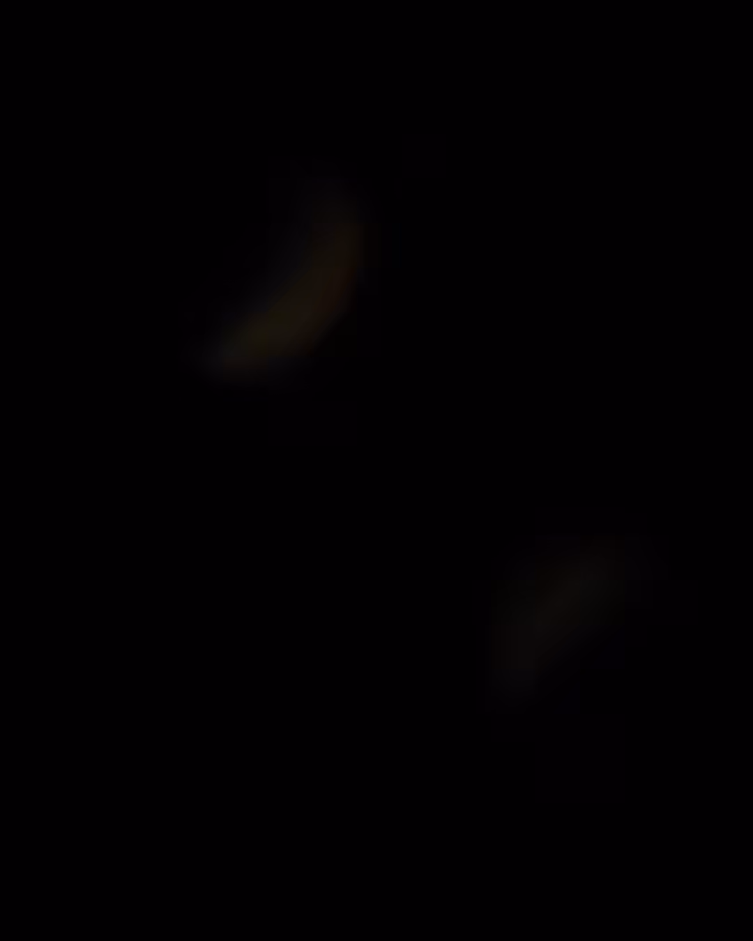DAY1