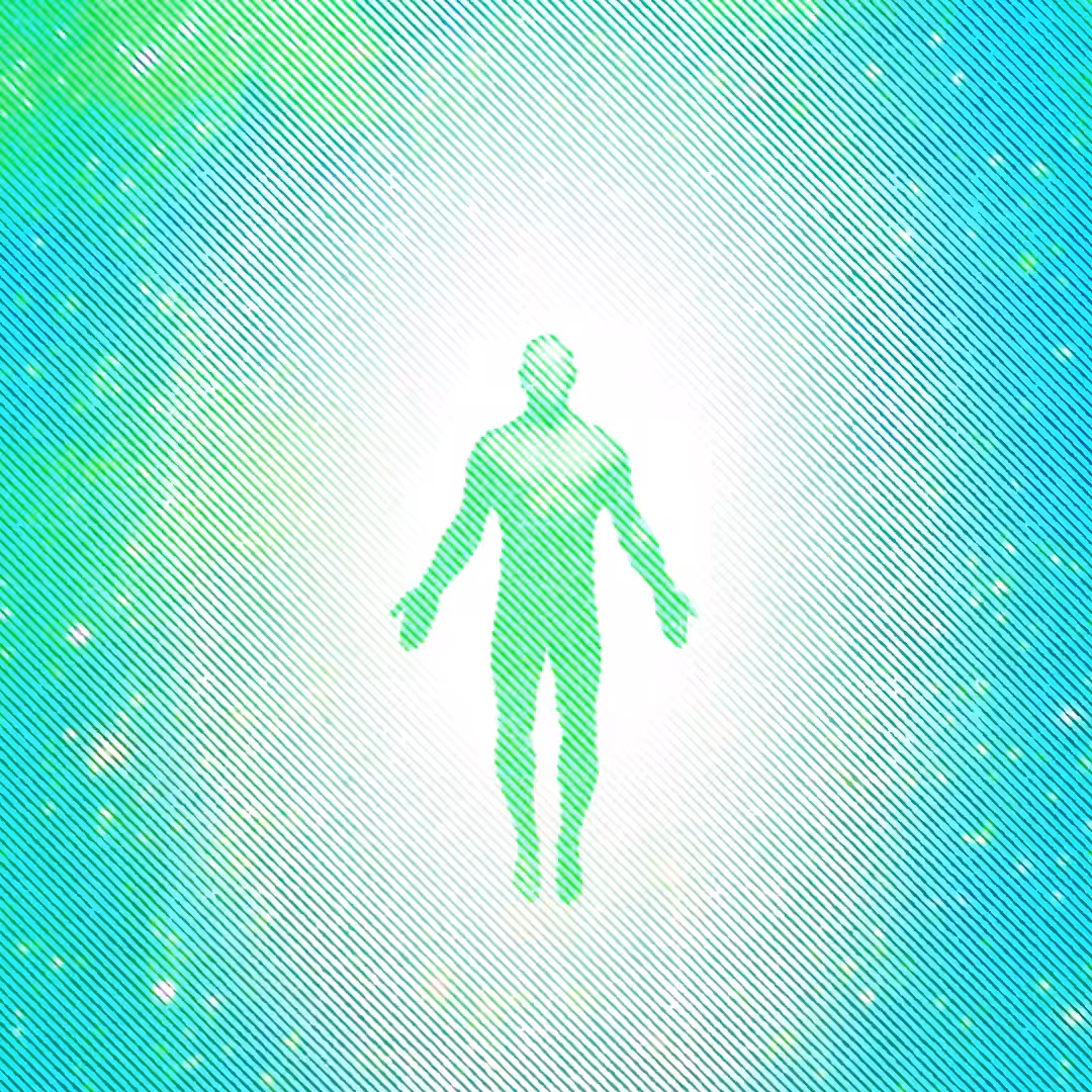 Wax Soul
