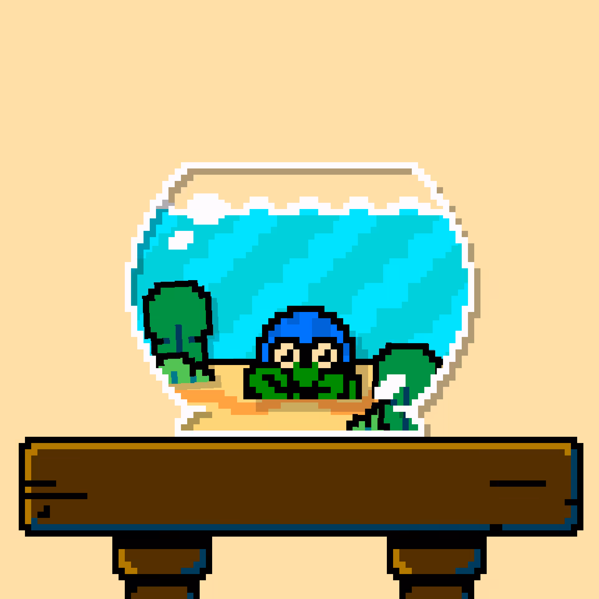 hermit crab #1