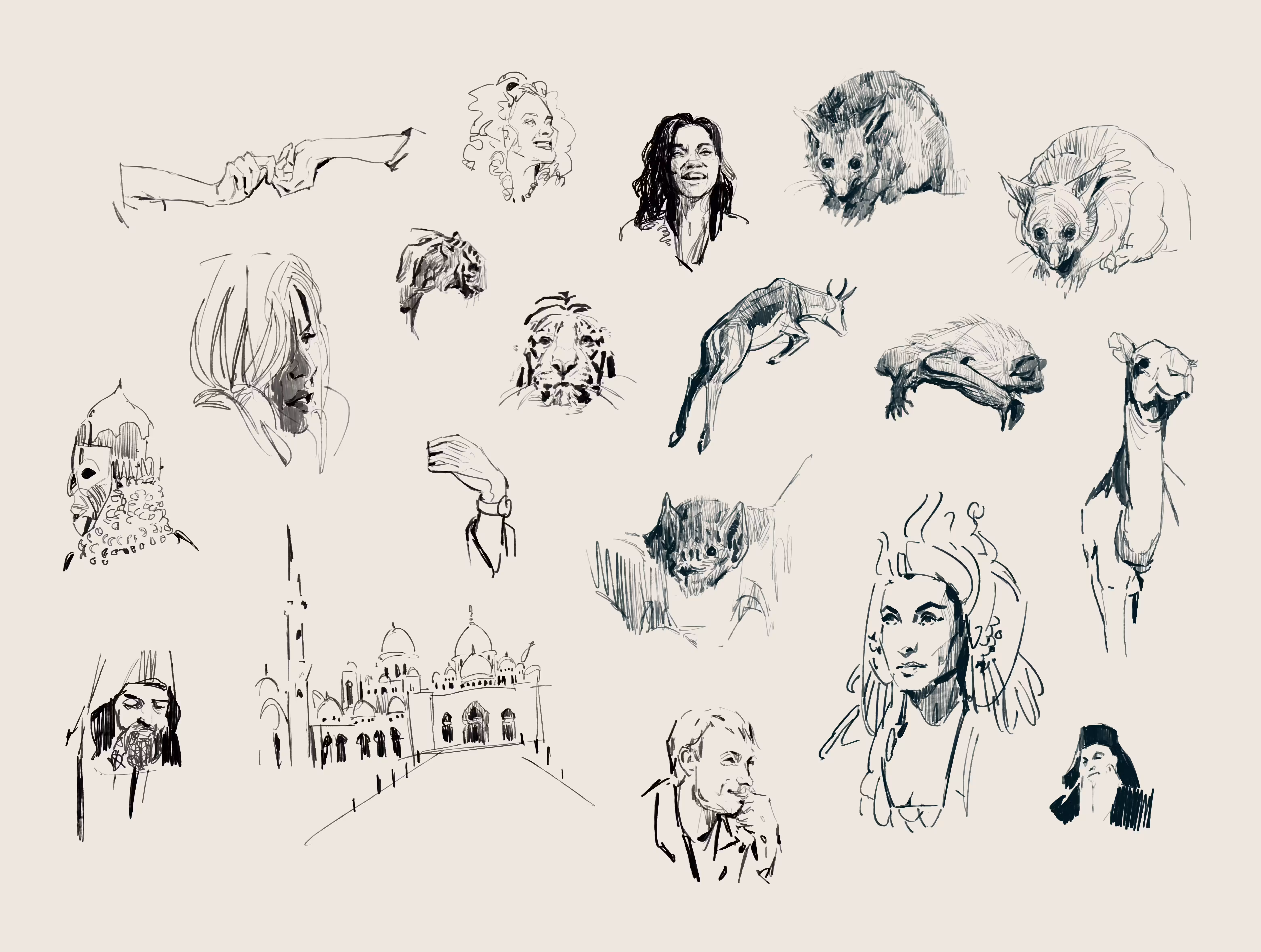 visual library sketches