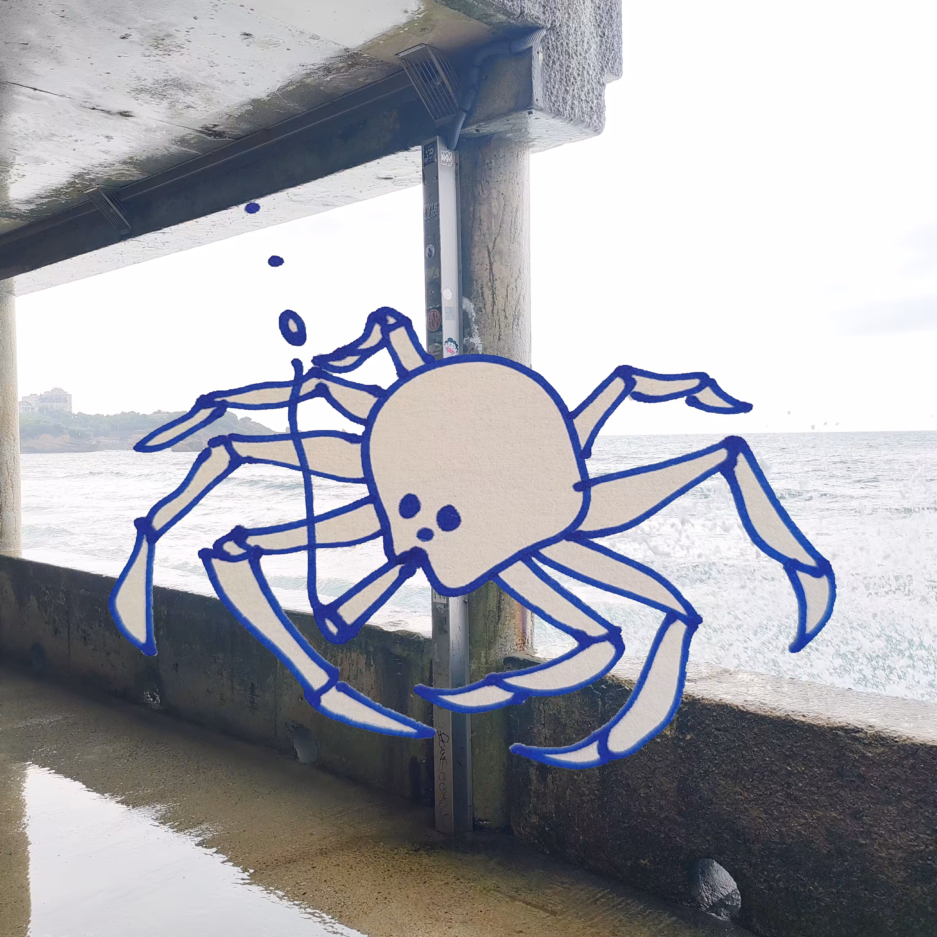 crab1
