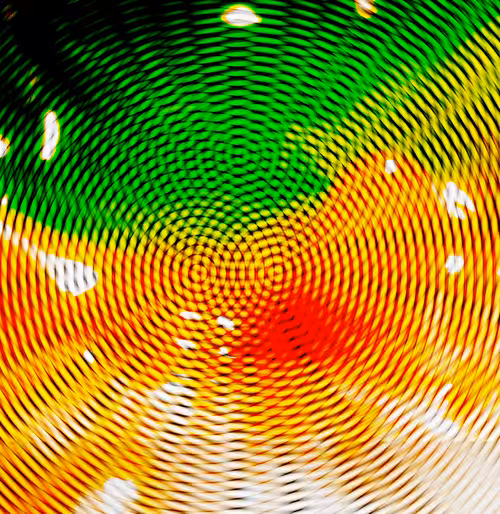 INACTIVE 3: JELLICIOUS #4 - PSYCHEDELIC EDITION