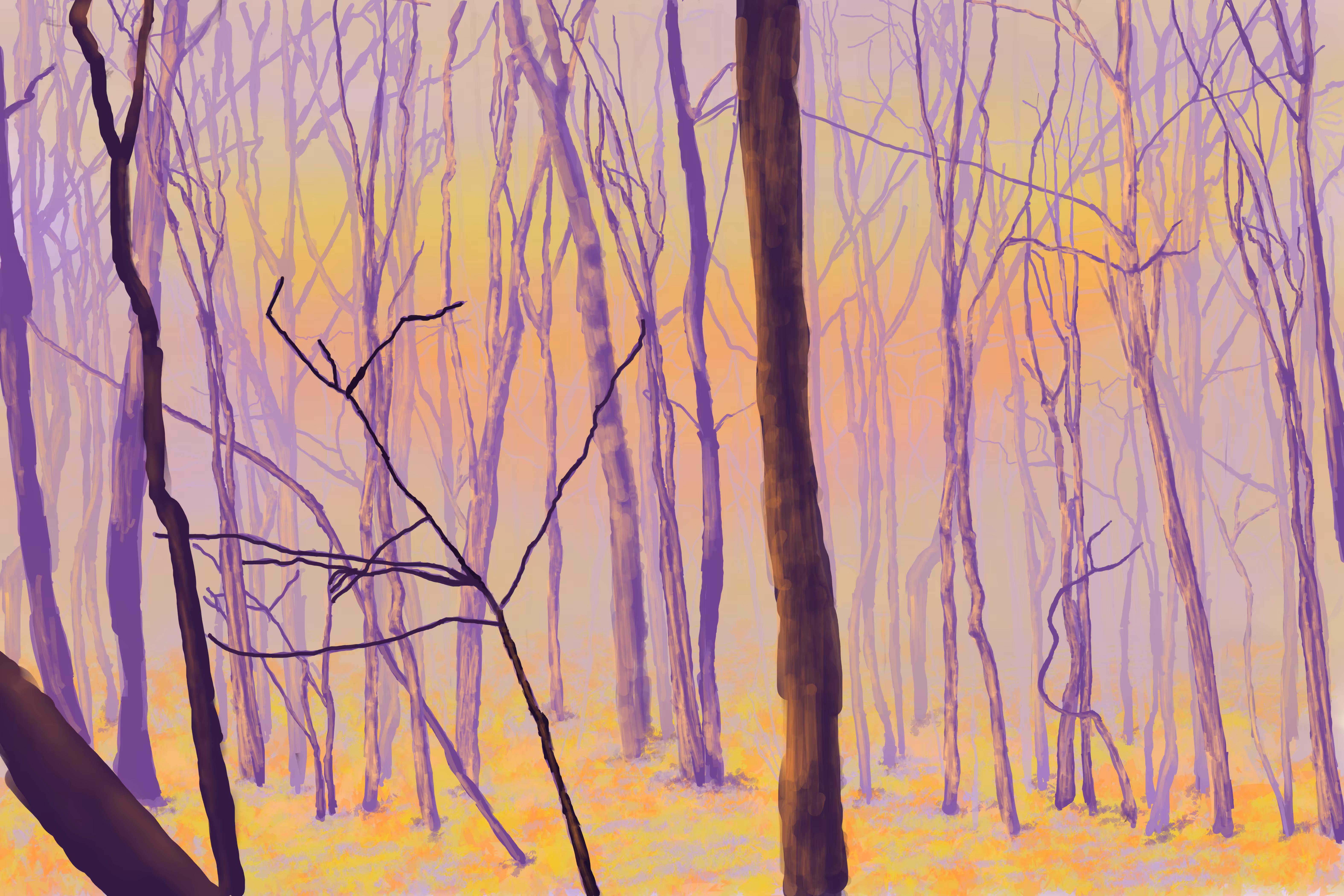 The Ephemeral Forest