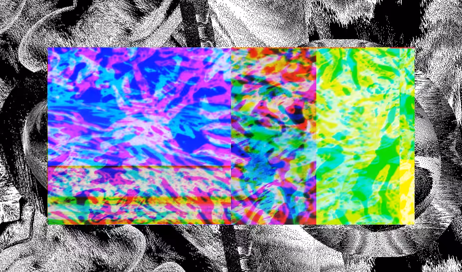 Love, Computer 020