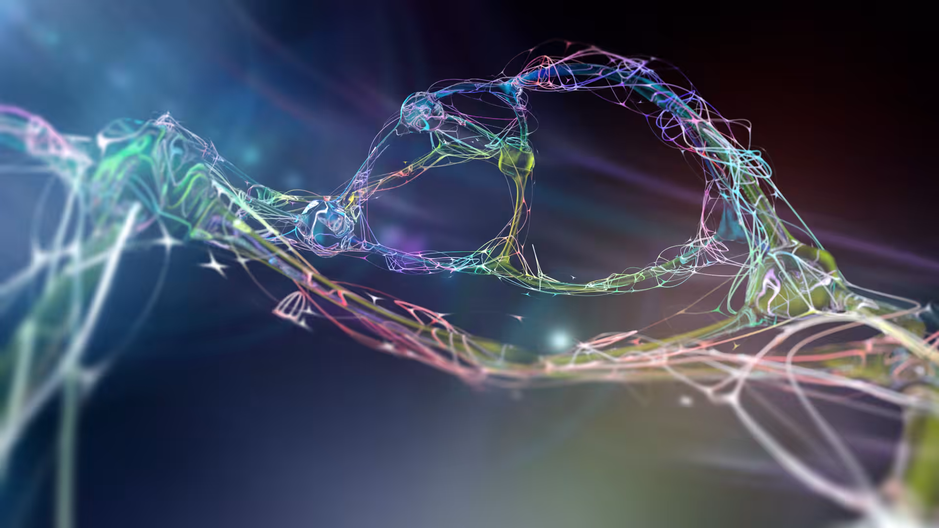 living torus