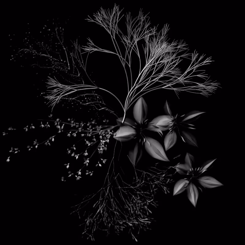 Botanical Ghosts #82
