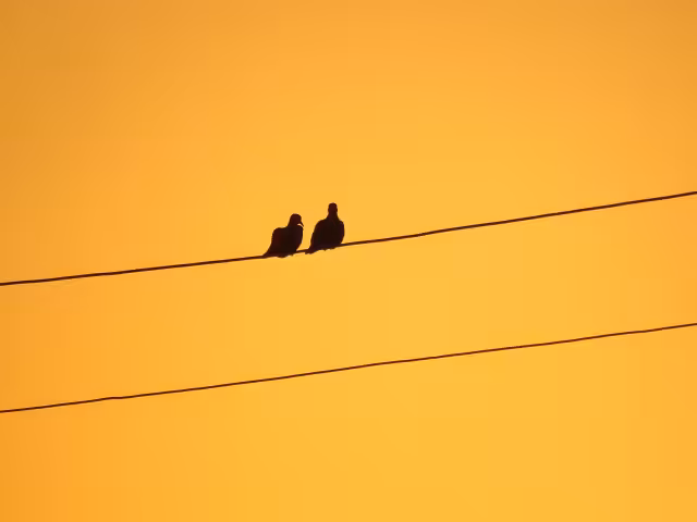 The Happy Valley: Two lovers