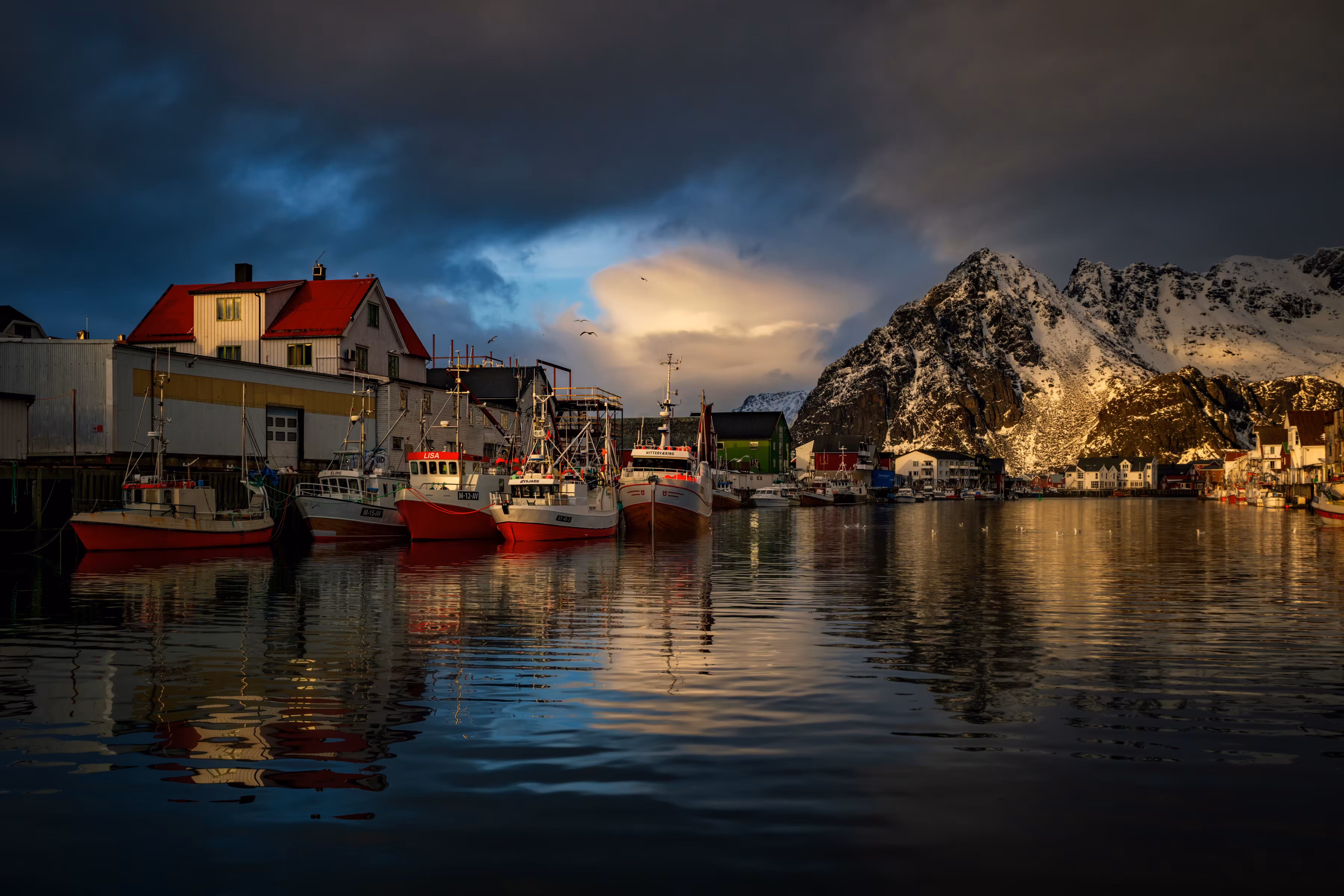 Evening Harbor