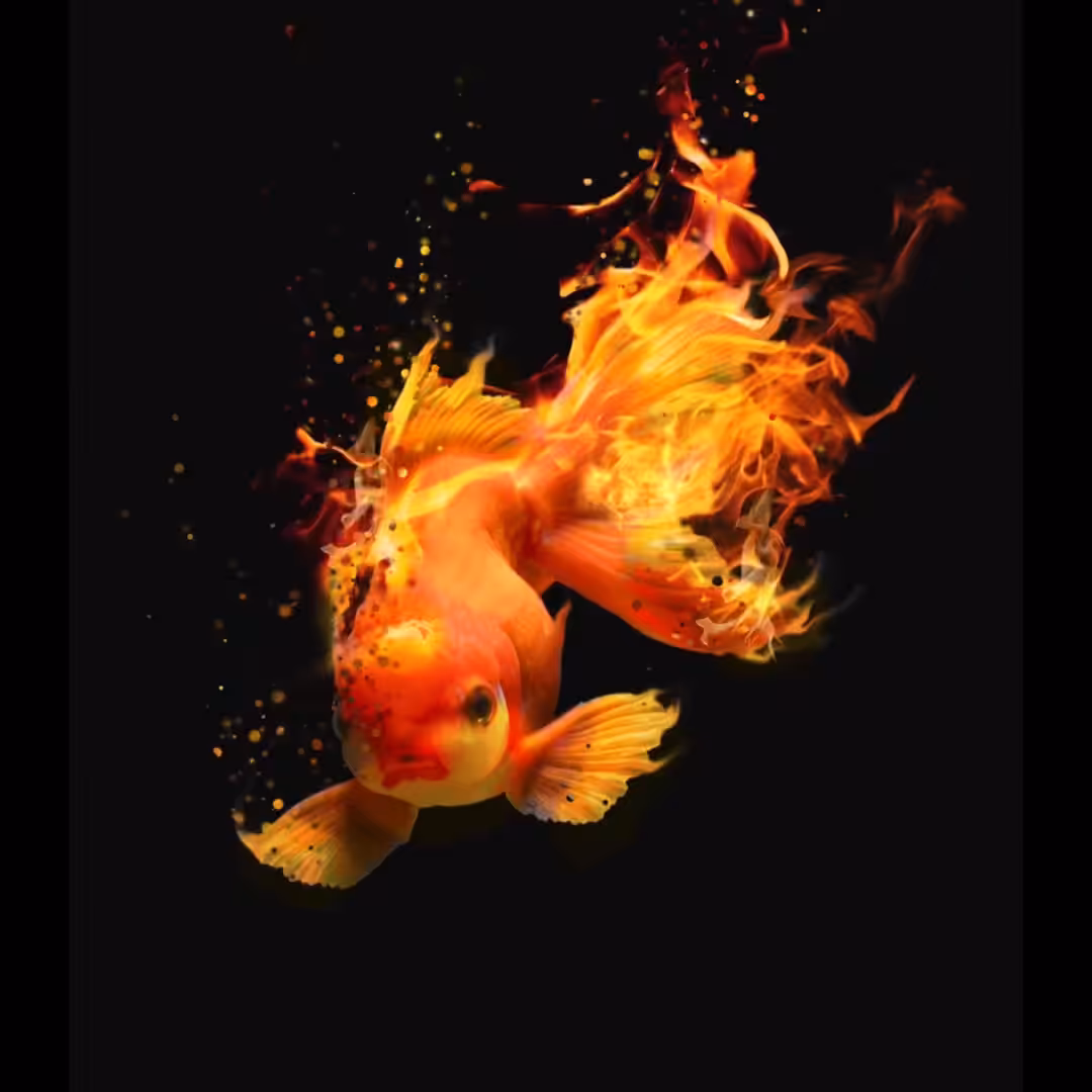 Fire Fish in Motion
