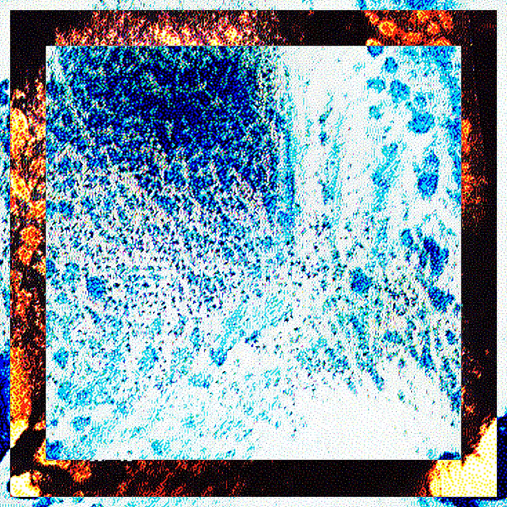 CHX-1 #180