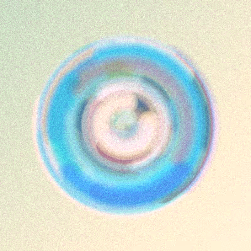 Wisp #979