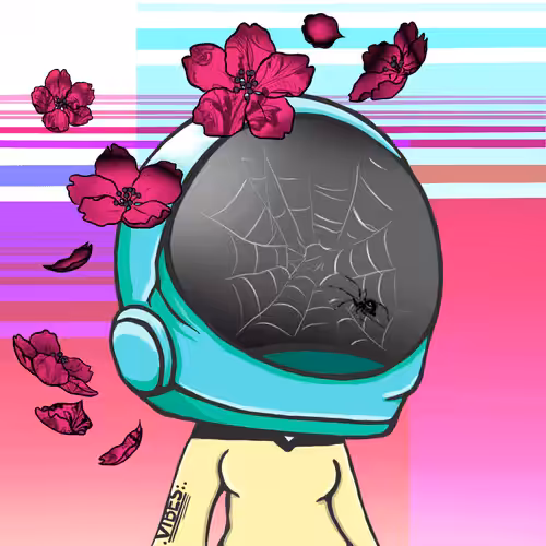 VibeNauts #3972