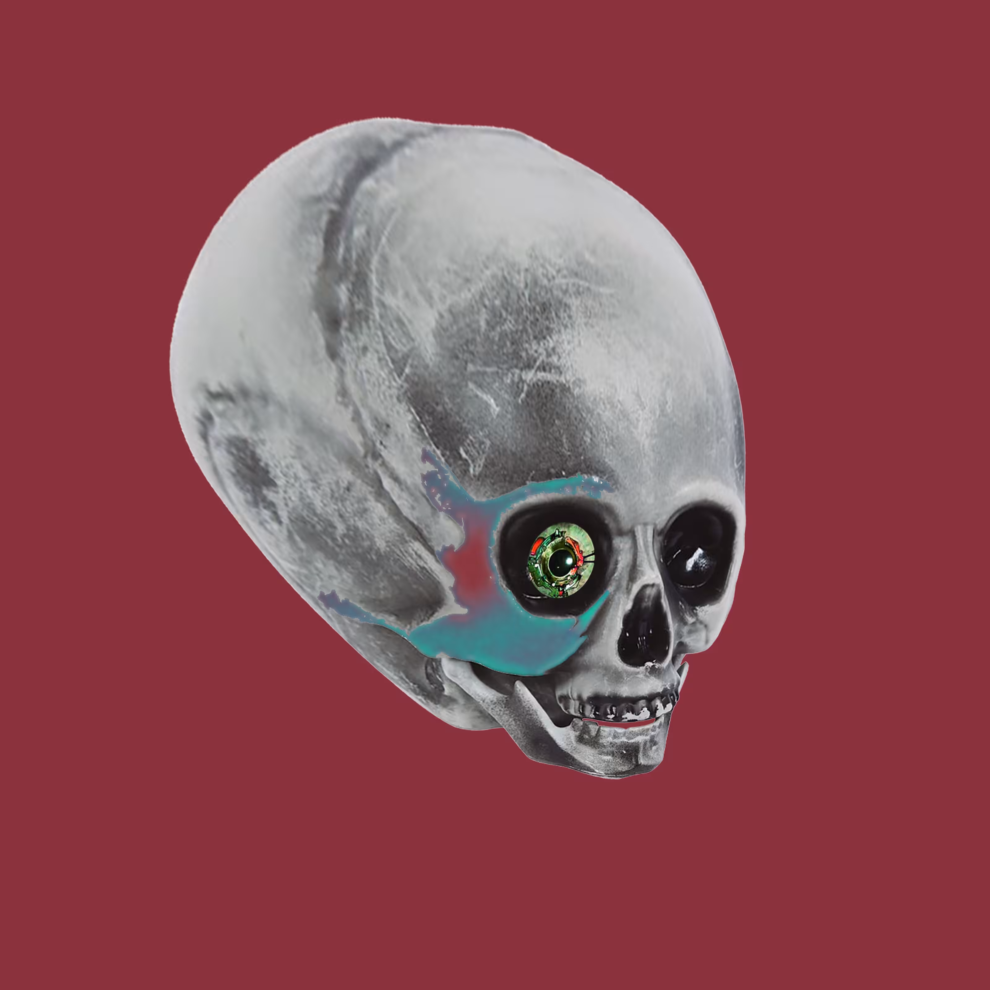 Alien skull