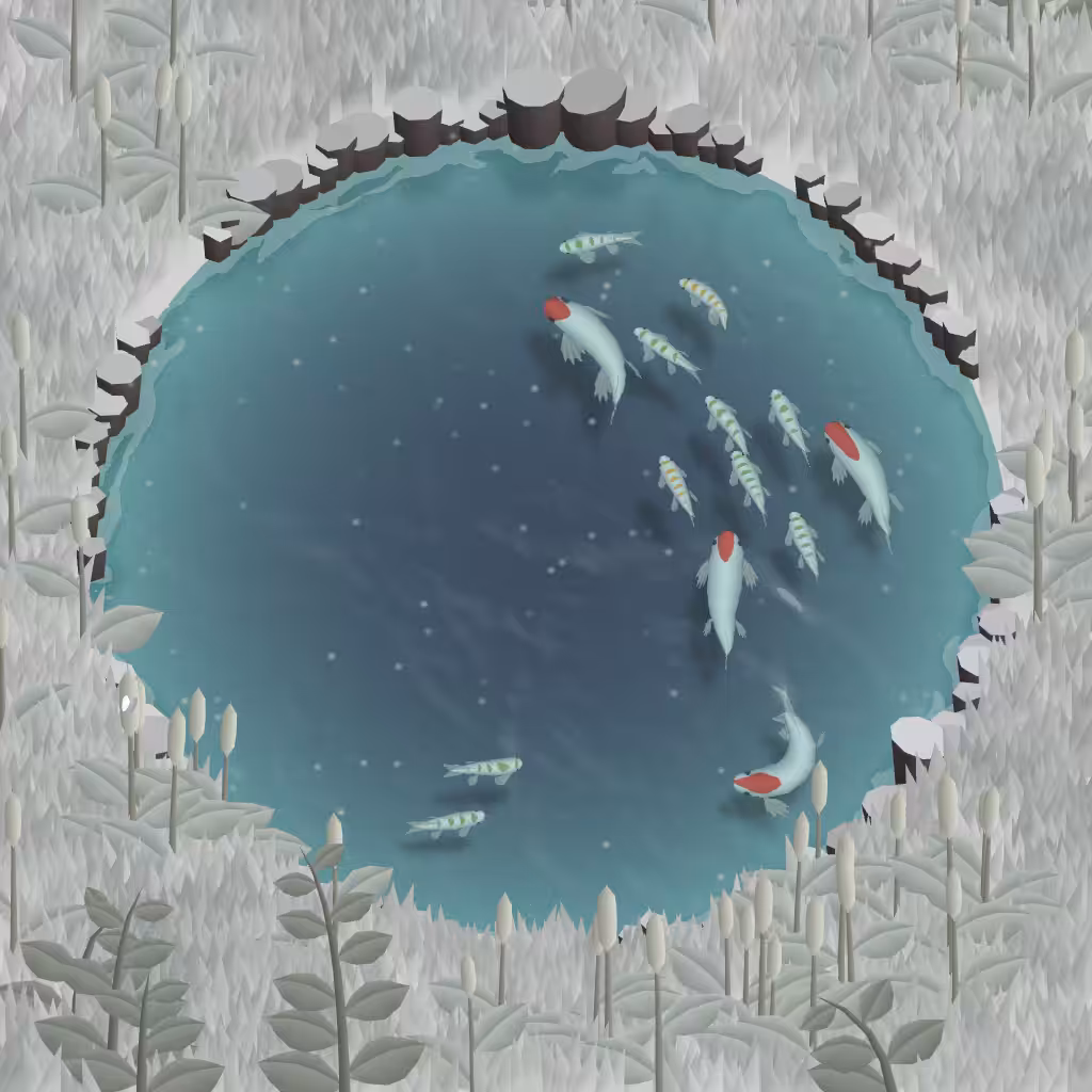 Koi Pond #10 - Red nosed
