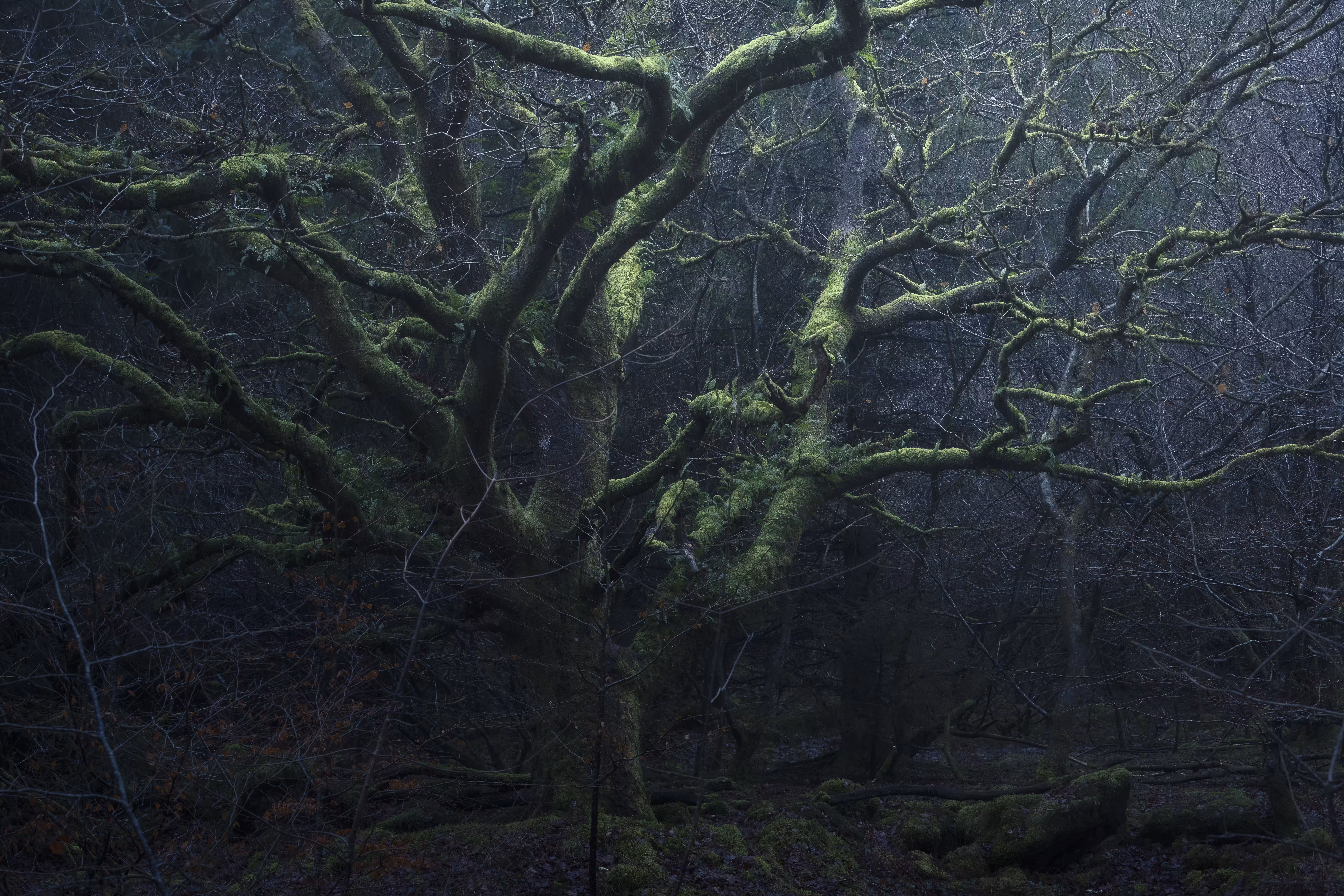 INTO DARKNESS