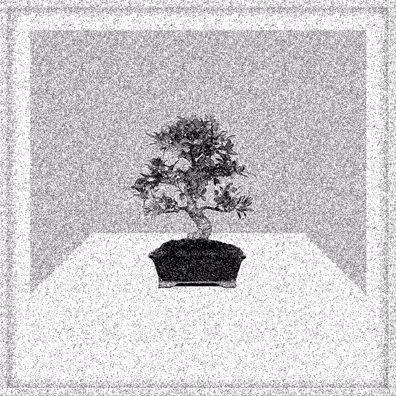 Bonsai Bonanza #419