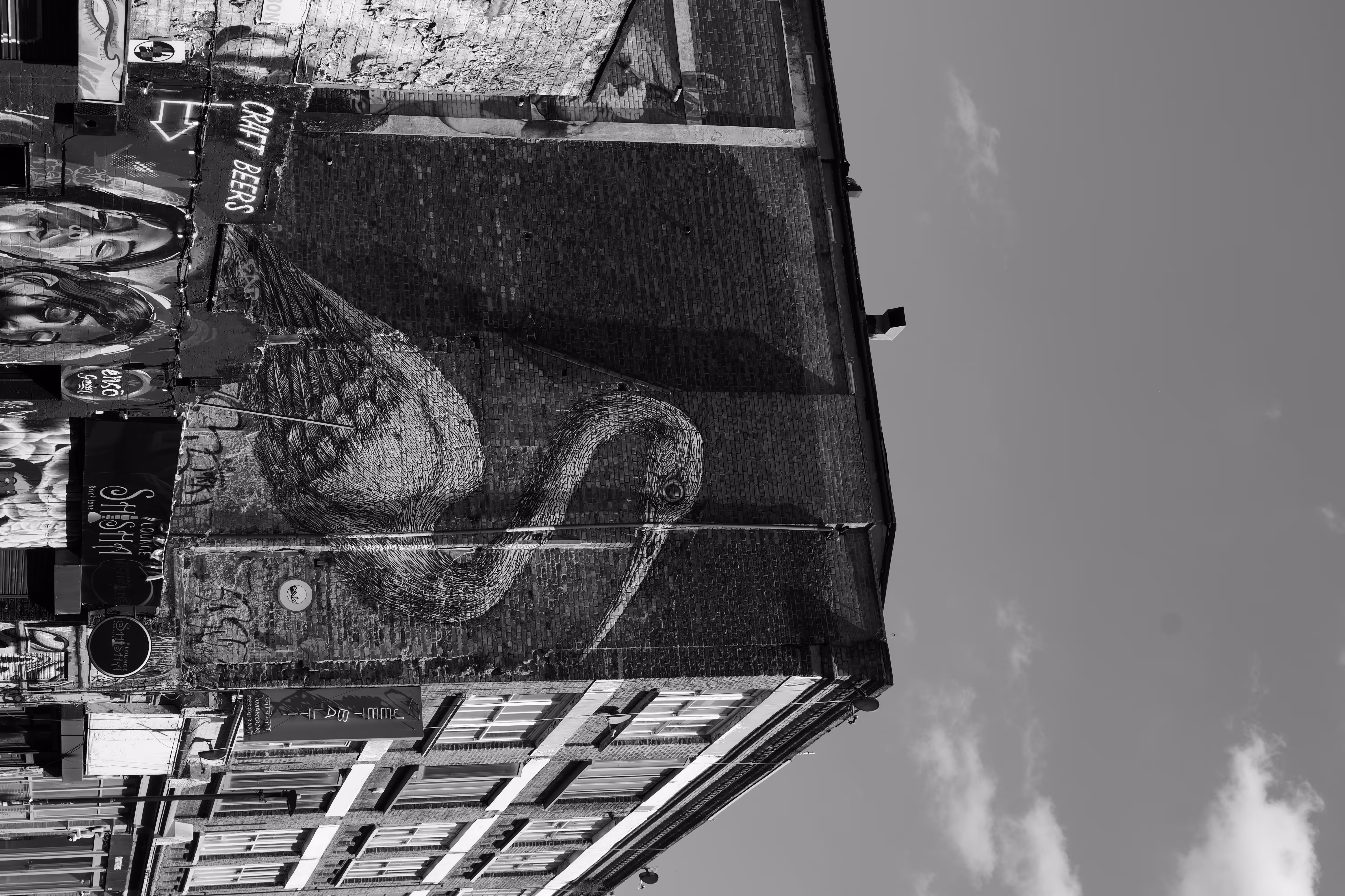 The street art photography #1