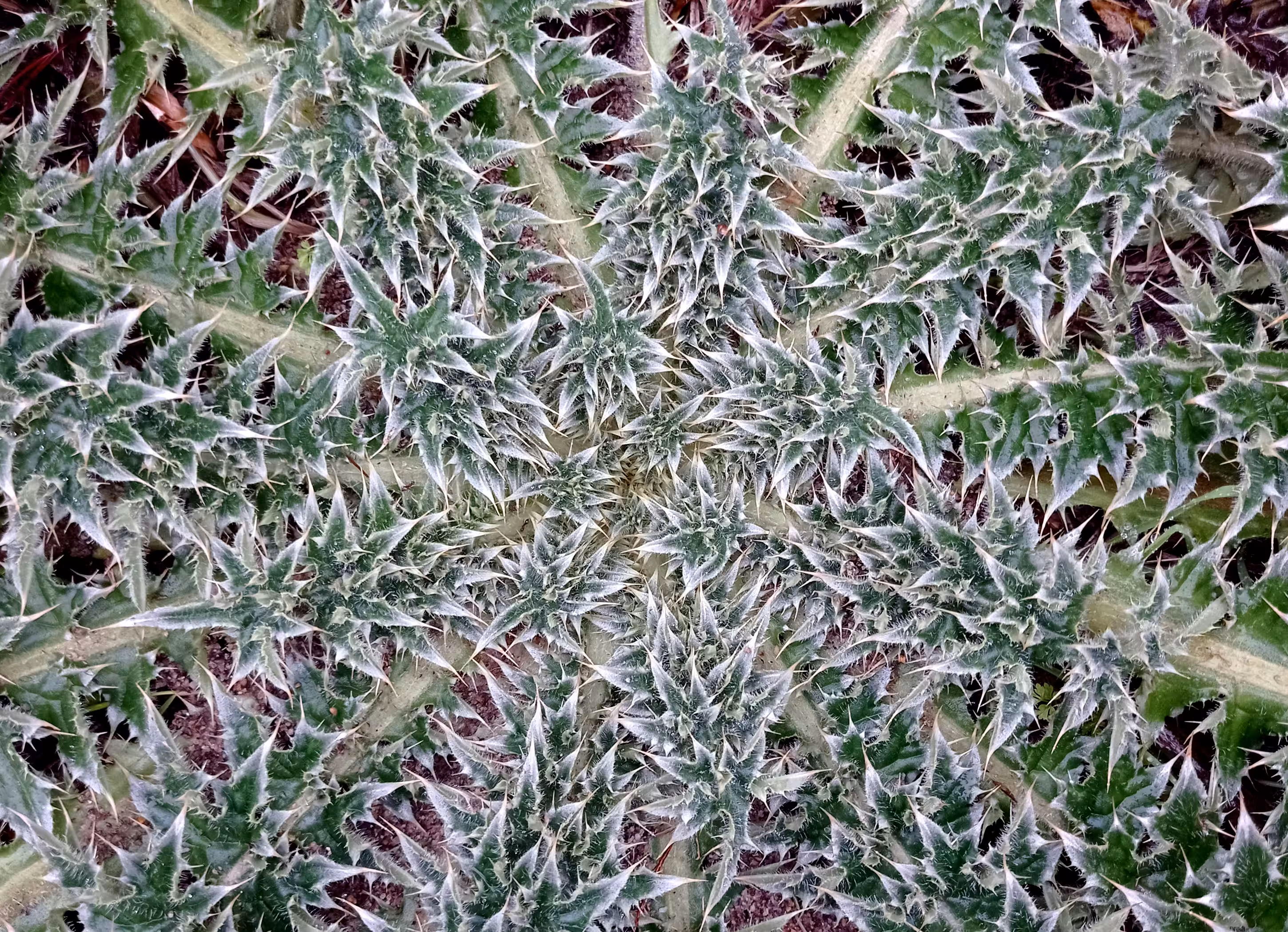 Fake Generative #2