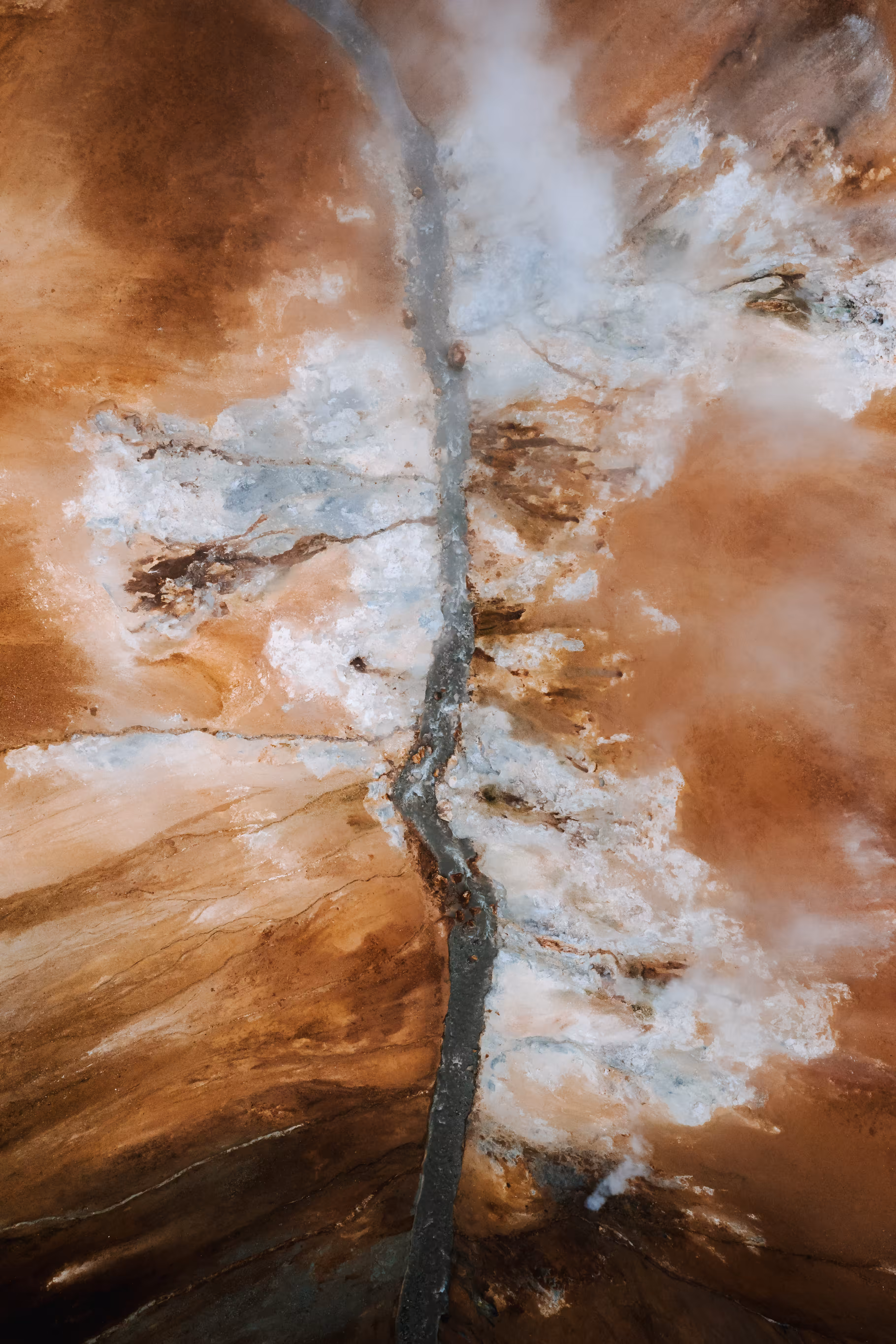 037 Trees are rivers in different dimensions