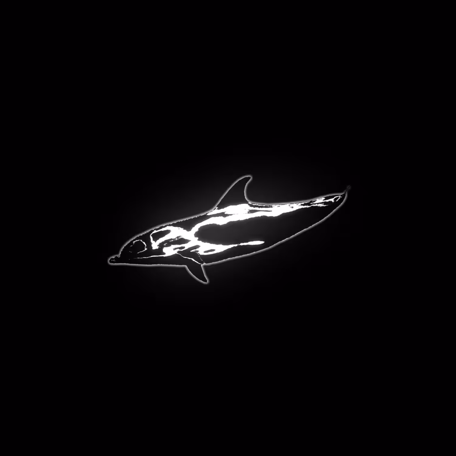 Dolphin 436