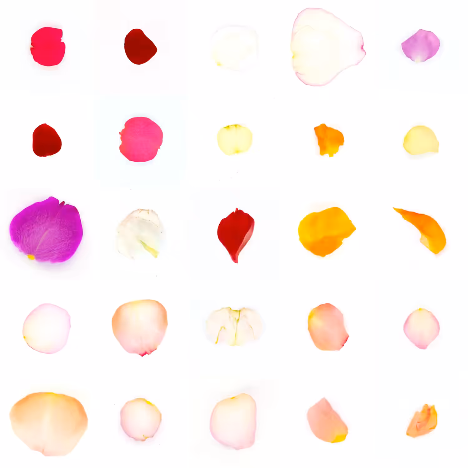Infinite Petals 5x5#20855